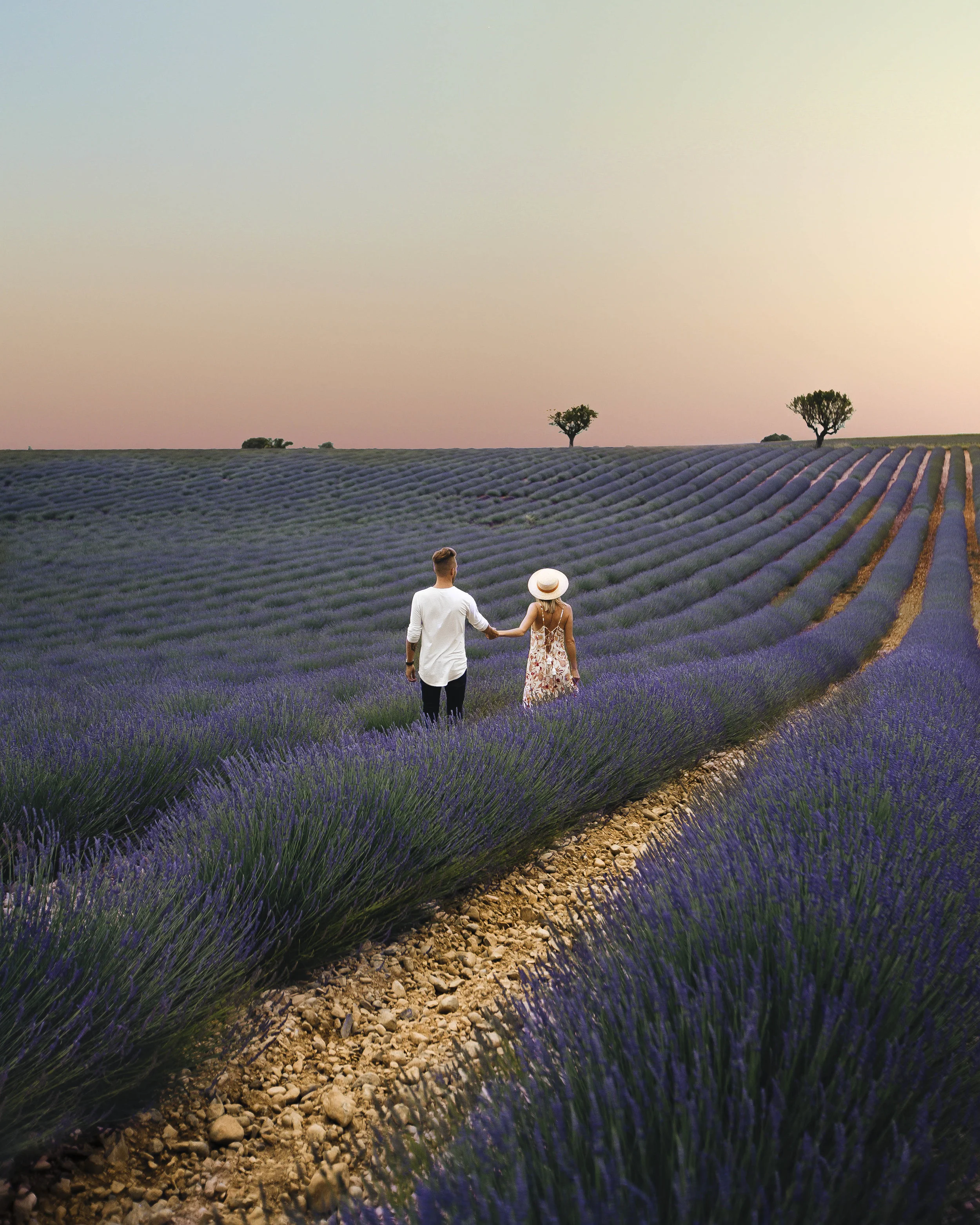 Valensole, France