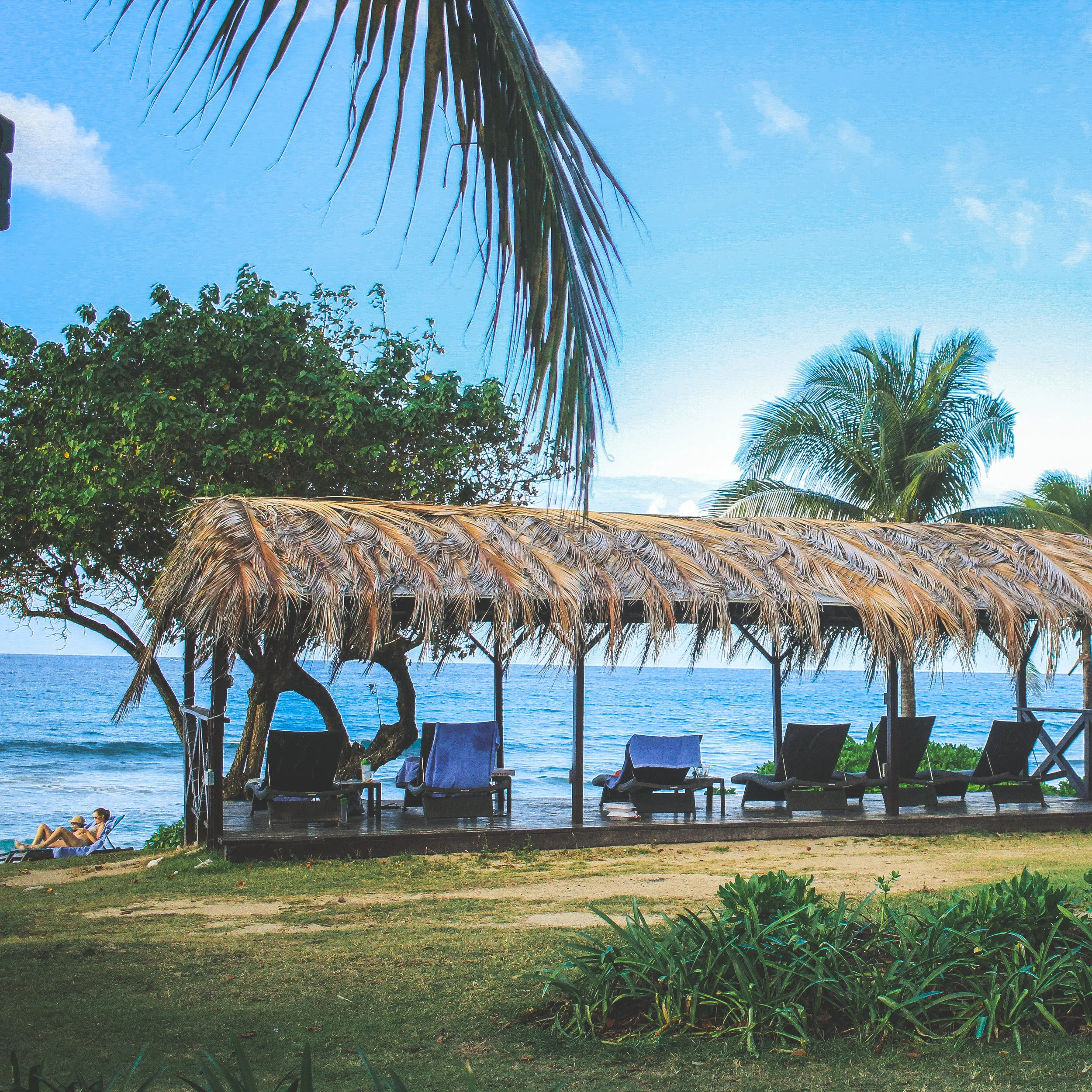 Carambola-54.jpg