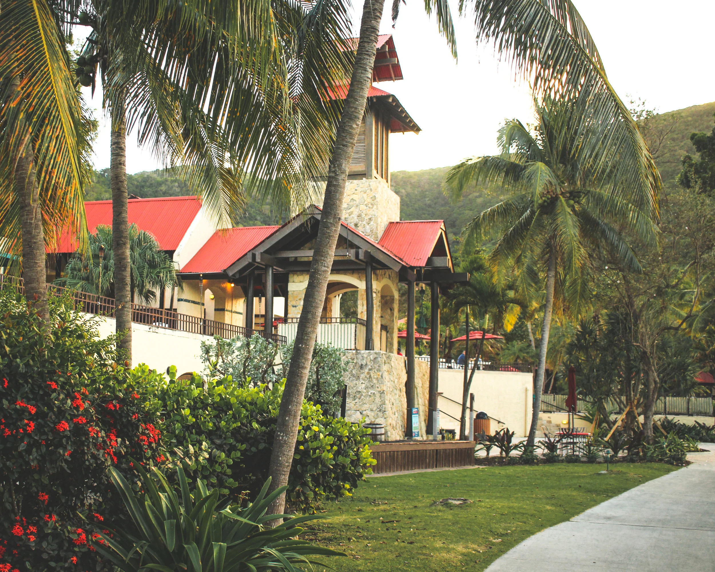 Carambola-68.jpg