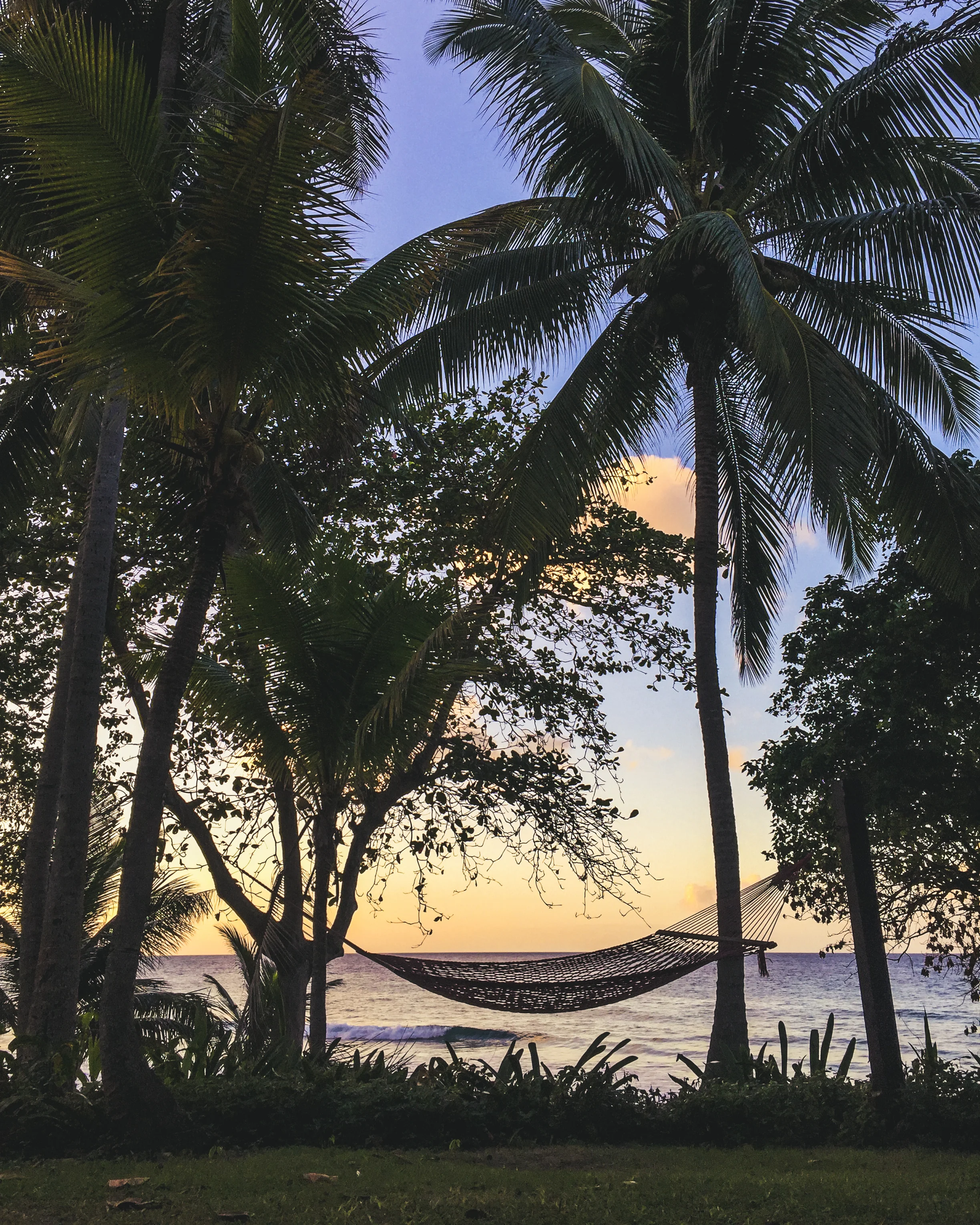 Carambola-77.jpg