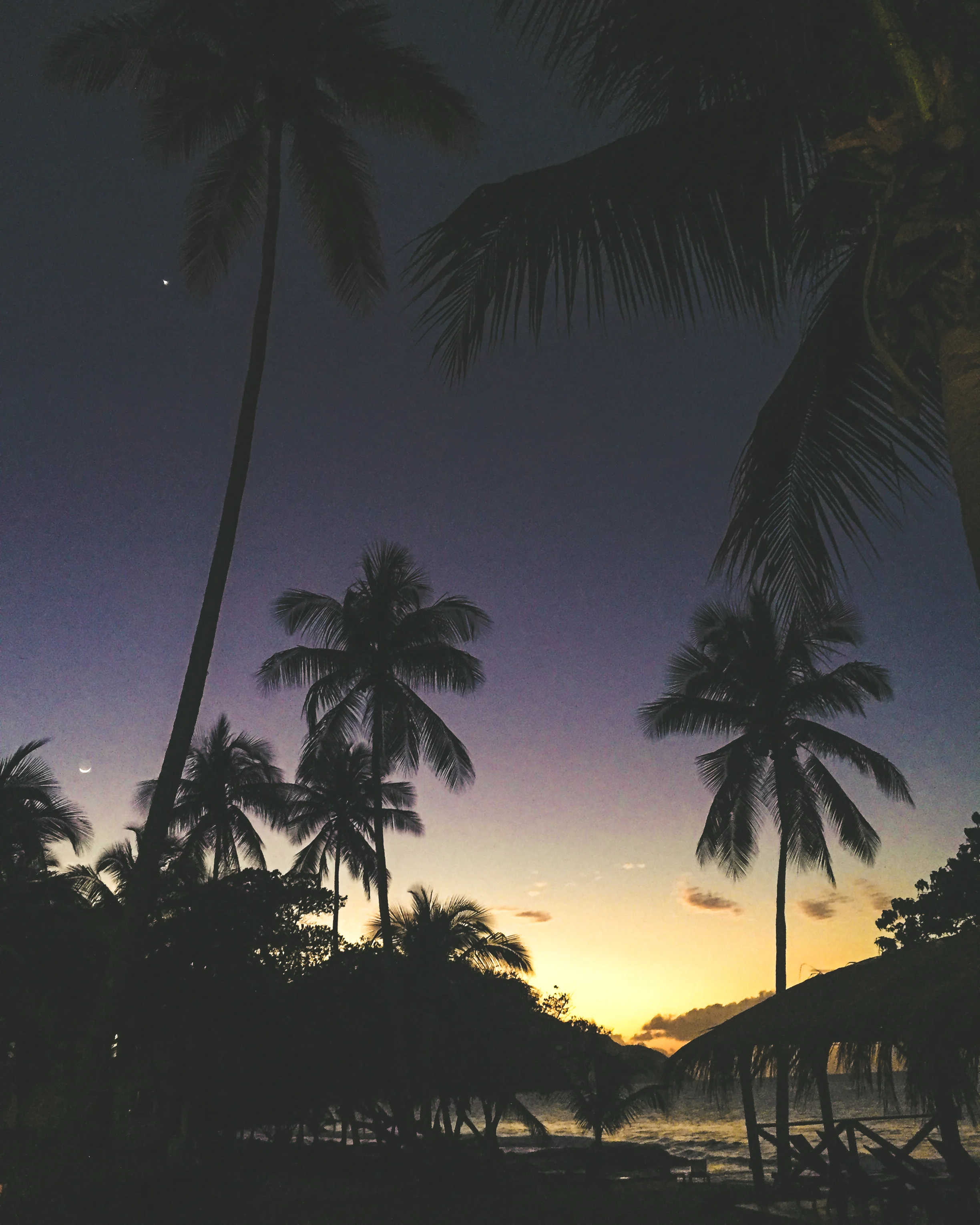 Carambola-78.jpg