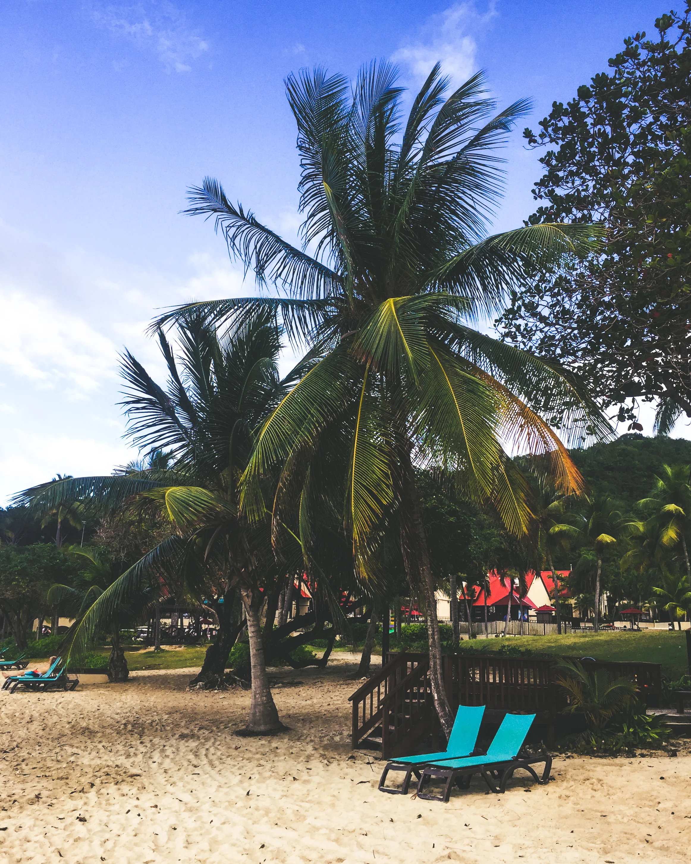 Carambola-82.jpg