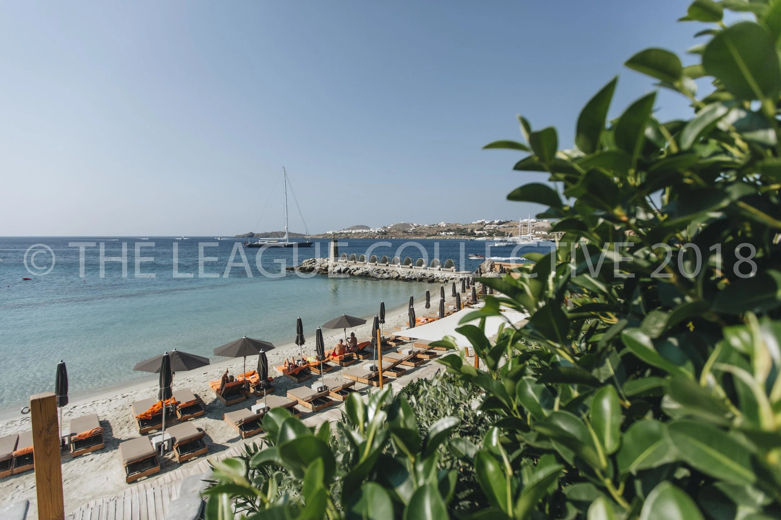 The League Co x Santa Marina-1.jpg