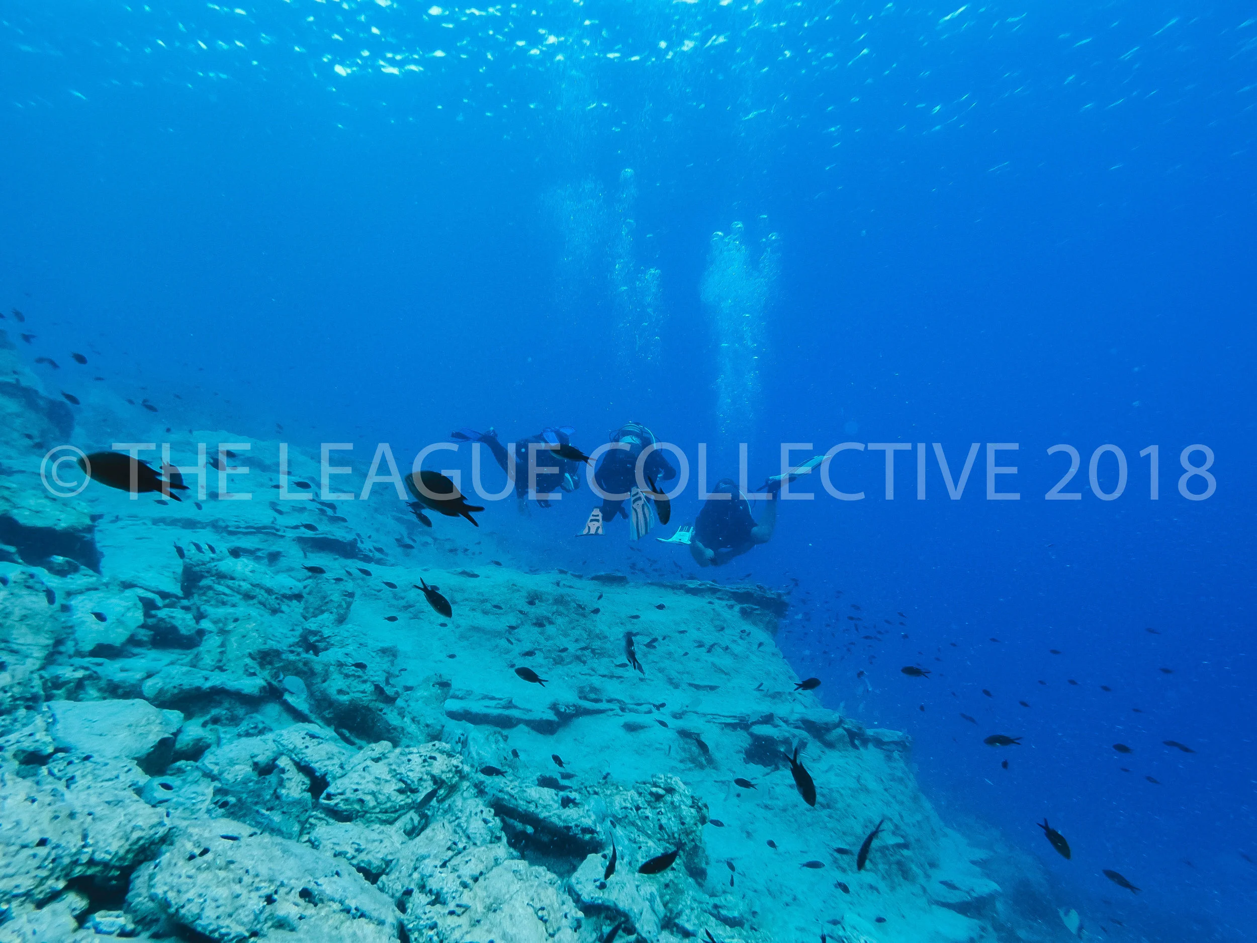 The League Co x Blue Palace-102.jpg