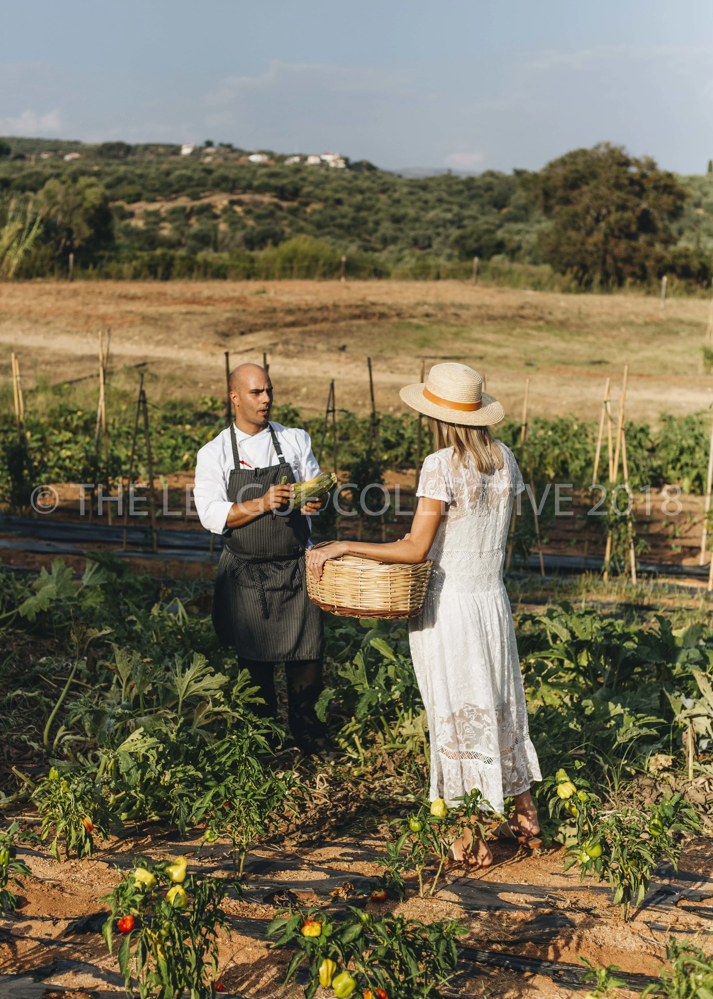 The League Co x COSTA NAVARINO-14.jpg