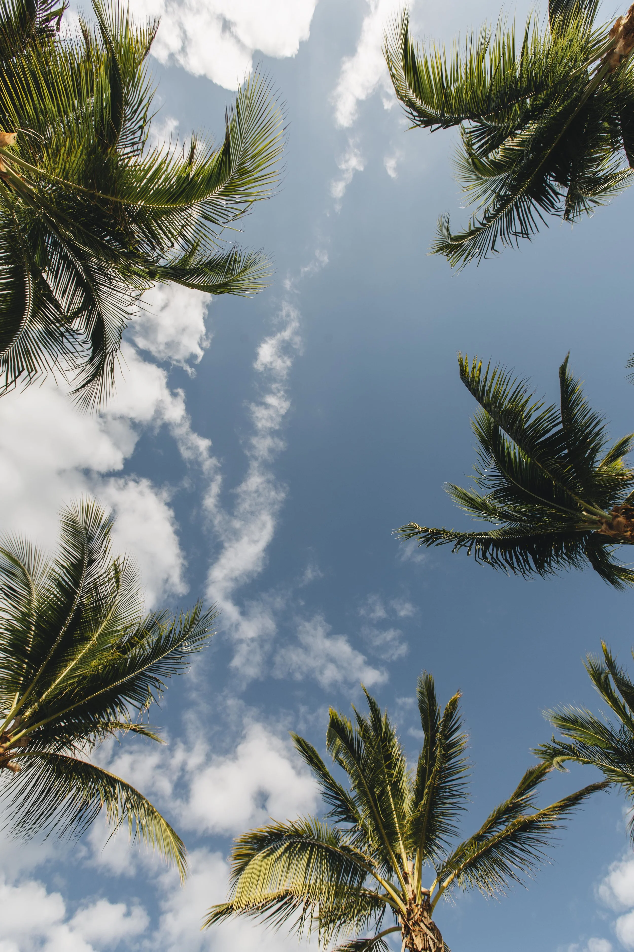 League Travels x Barcelo Maya Grand-8.jpg