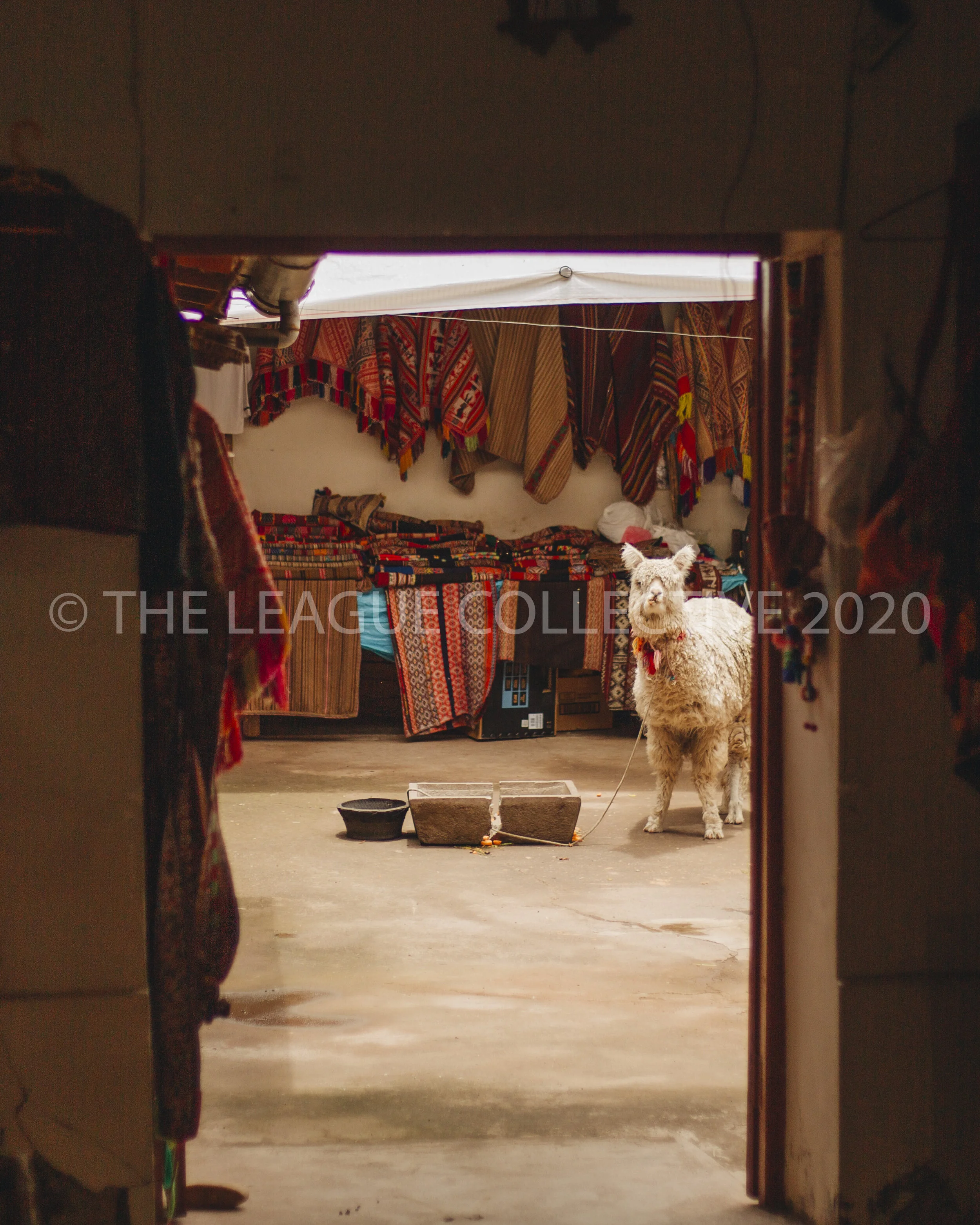 DS7C7767-2.jpg