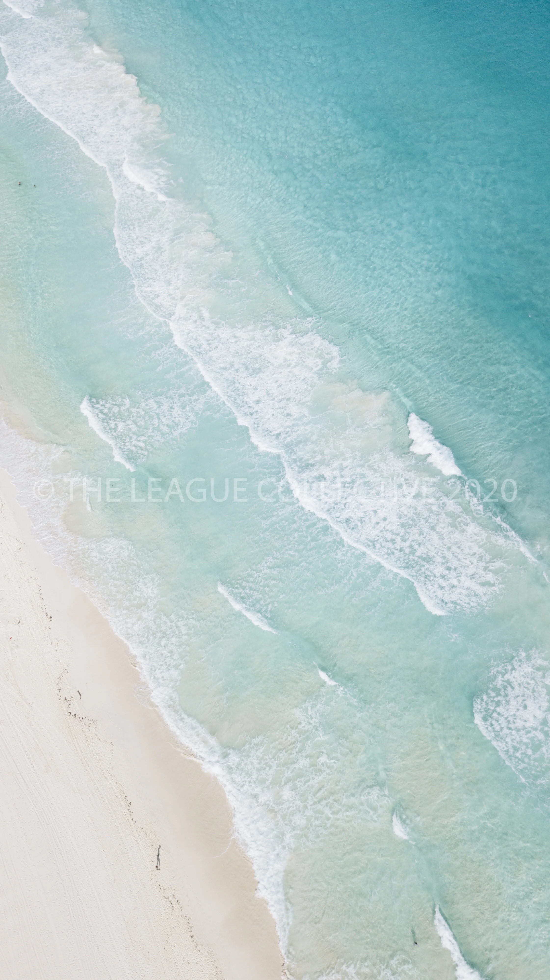 DJI_0380.jpg