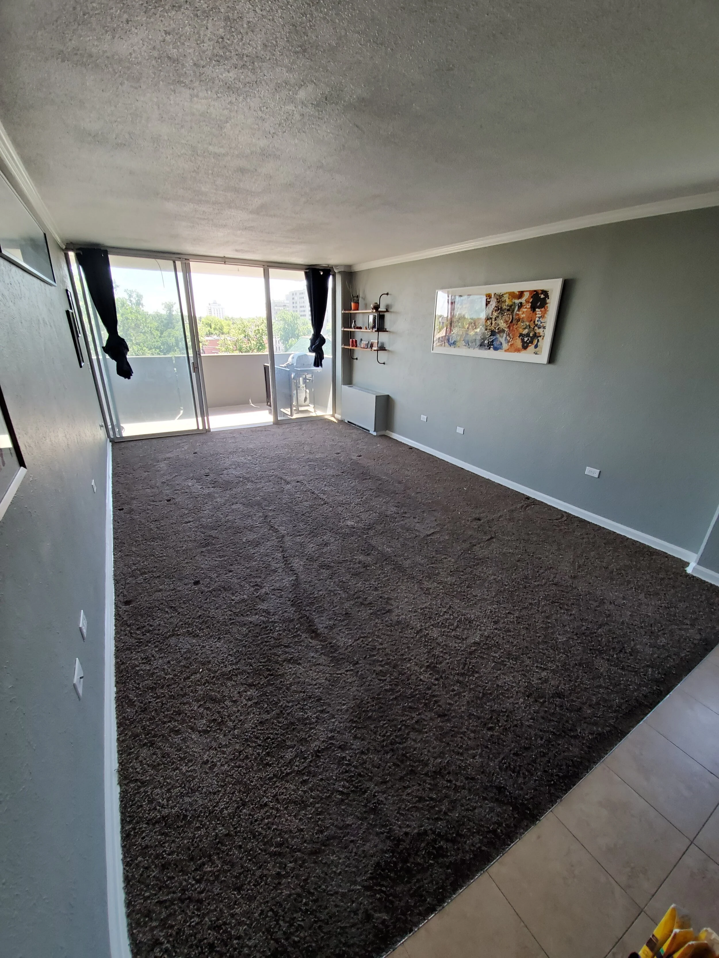  Picture of the carpet to be removed 