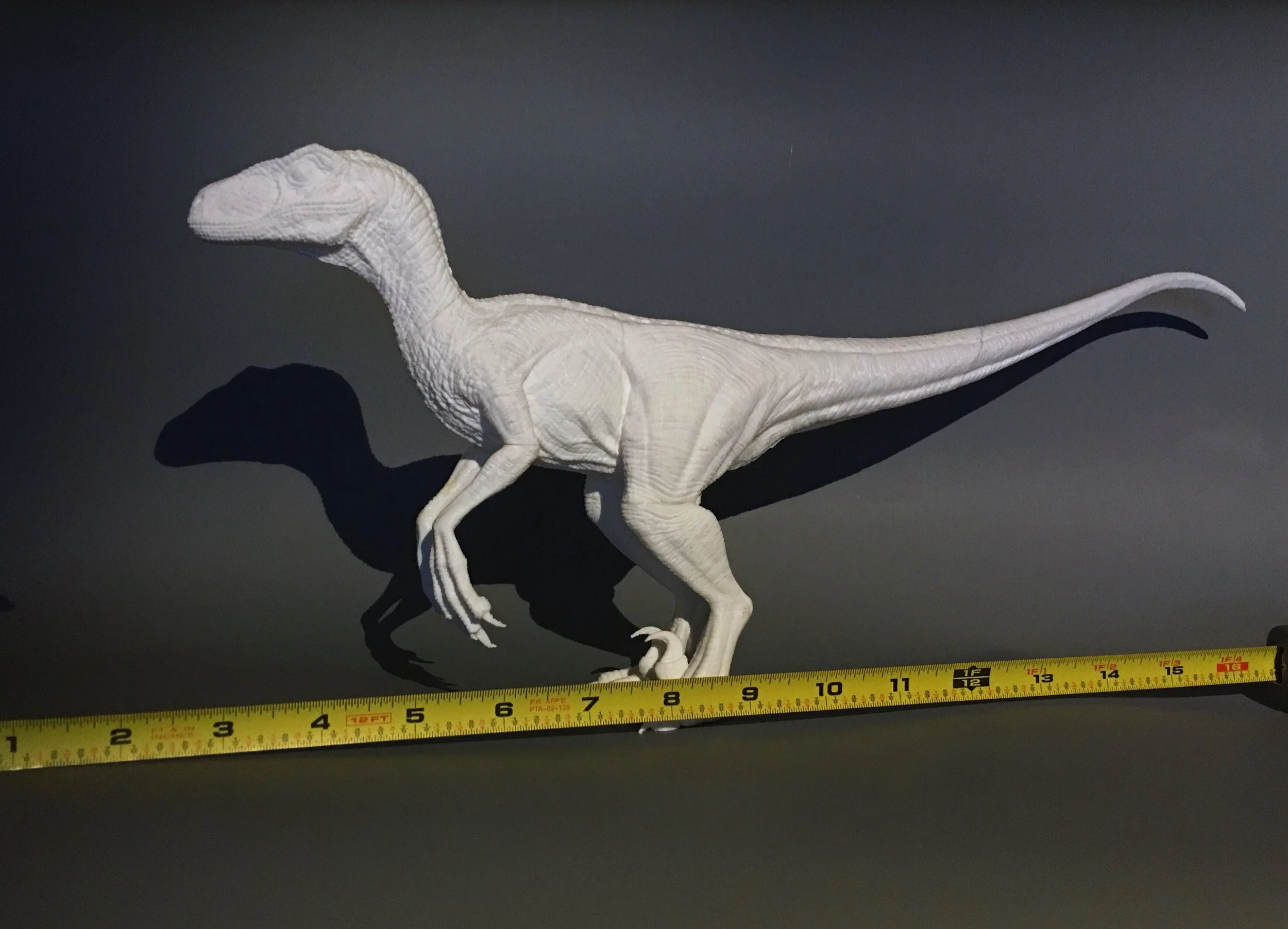 Small Raptor -tape measure1.jpg