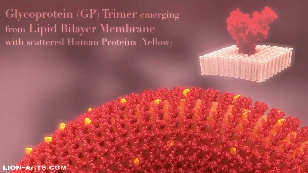 Ebola-ThumbnailIImage.jpg