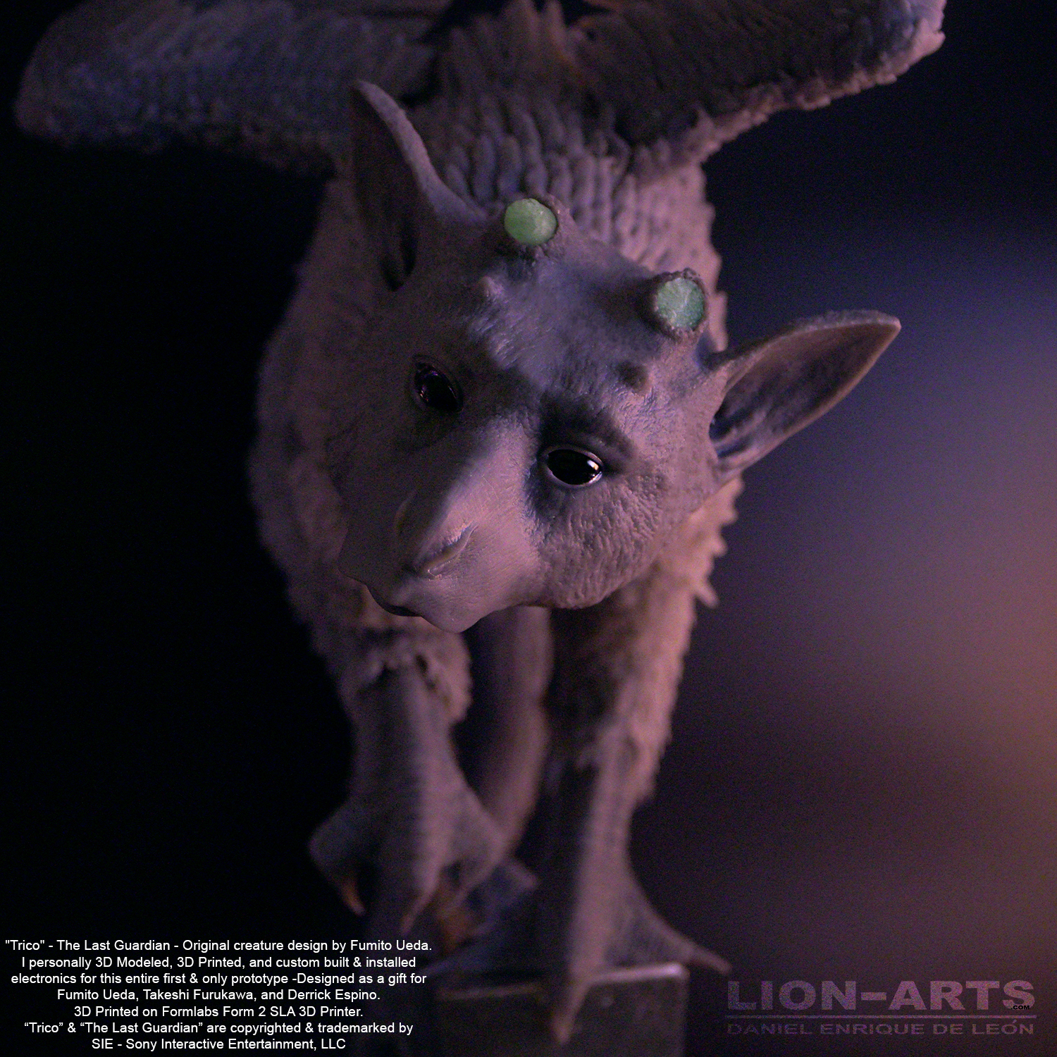 Trico-LION-ARTS-face-dark-eyes-wb-fixed.jpg