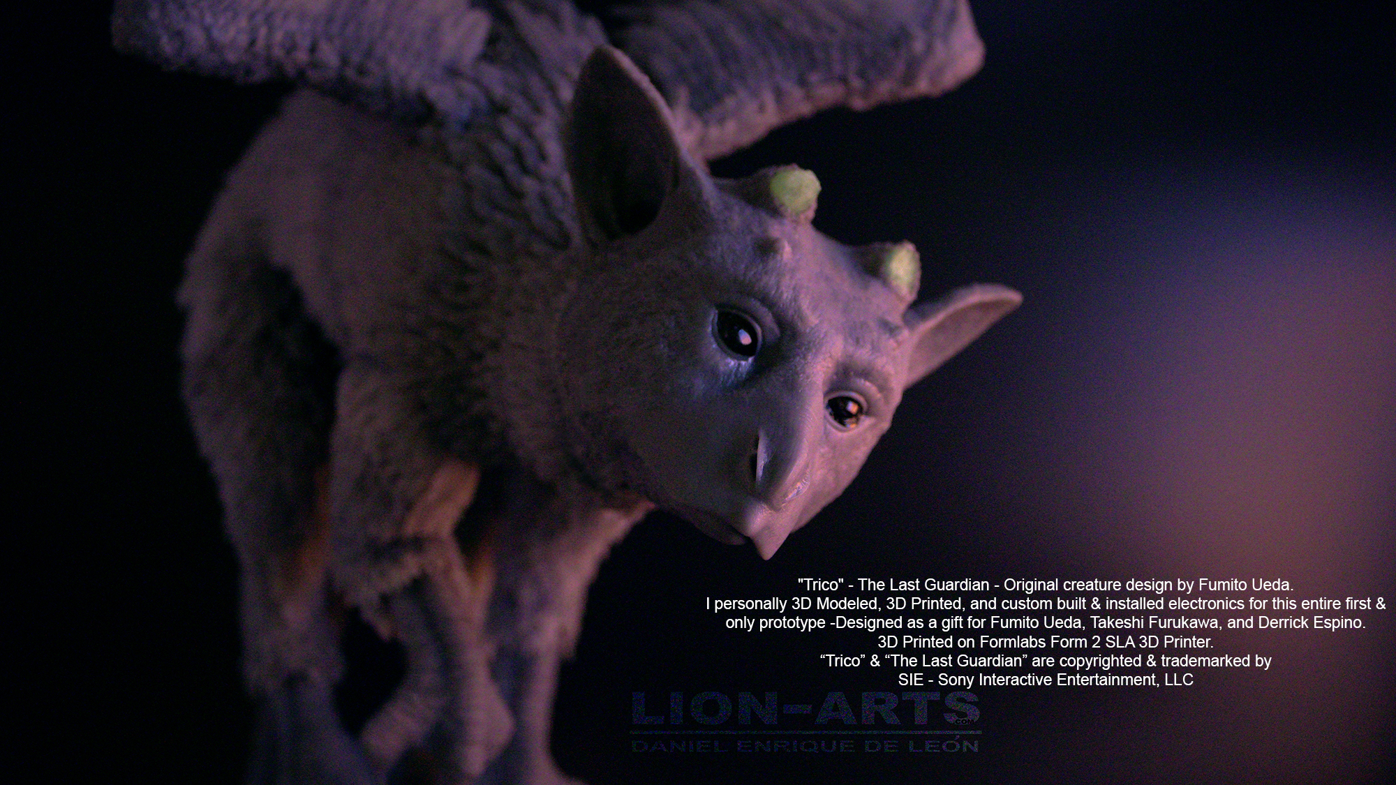 Trico-LION-ARTS-face-dark-eyes2-wb-Fixed.jpg