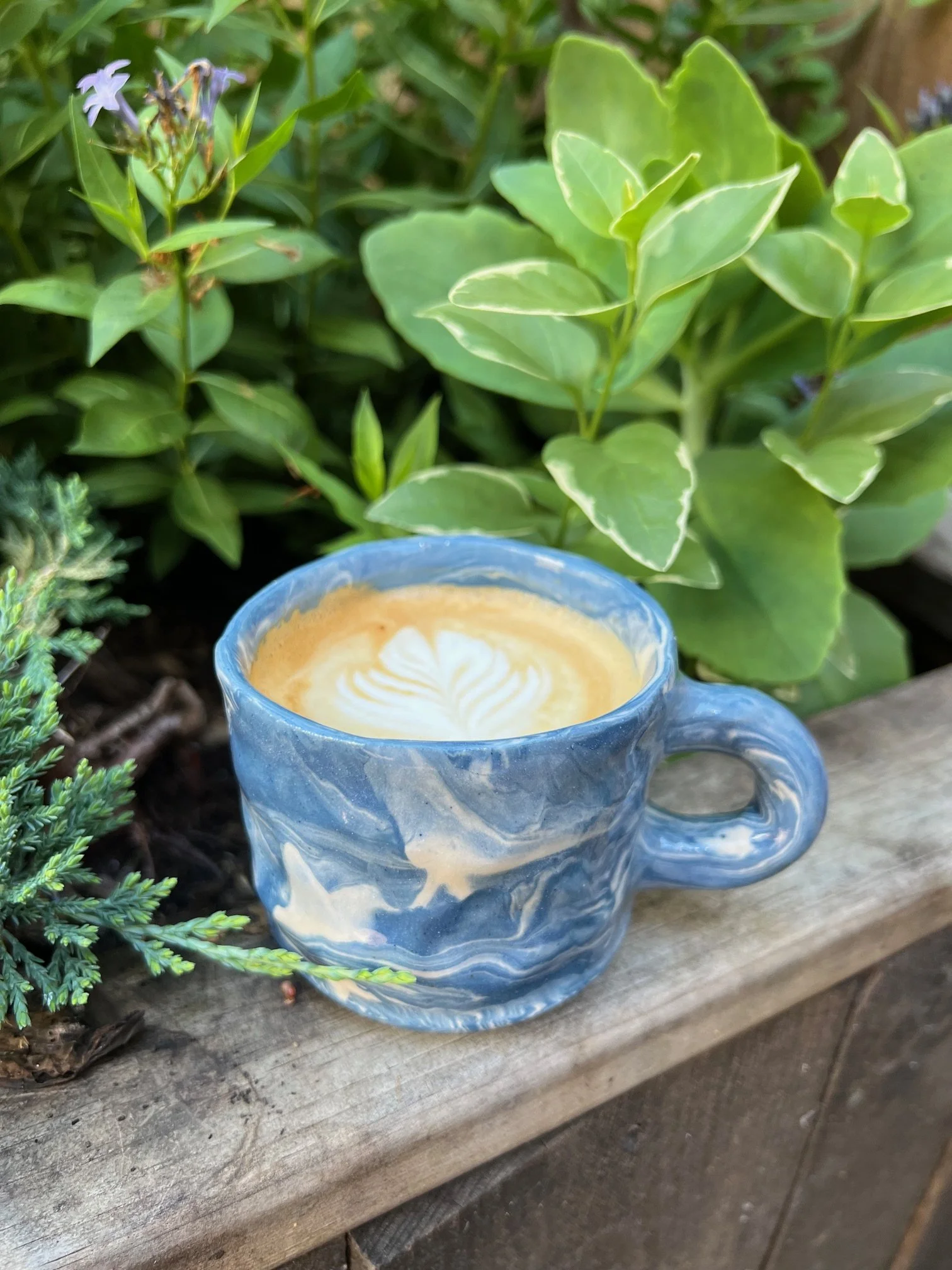 Mug Pre-order