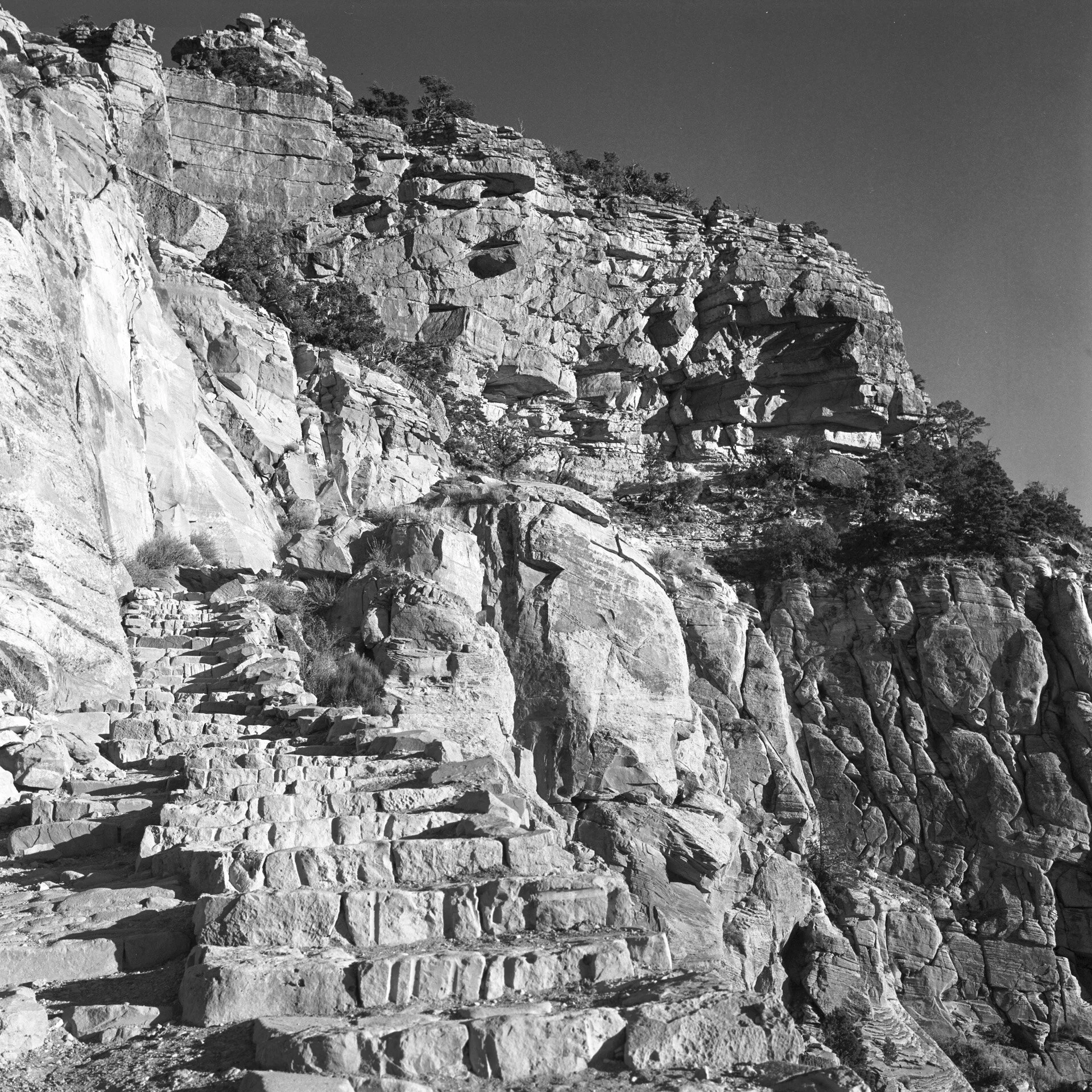 Coolscan9k-2019-232672.jpg