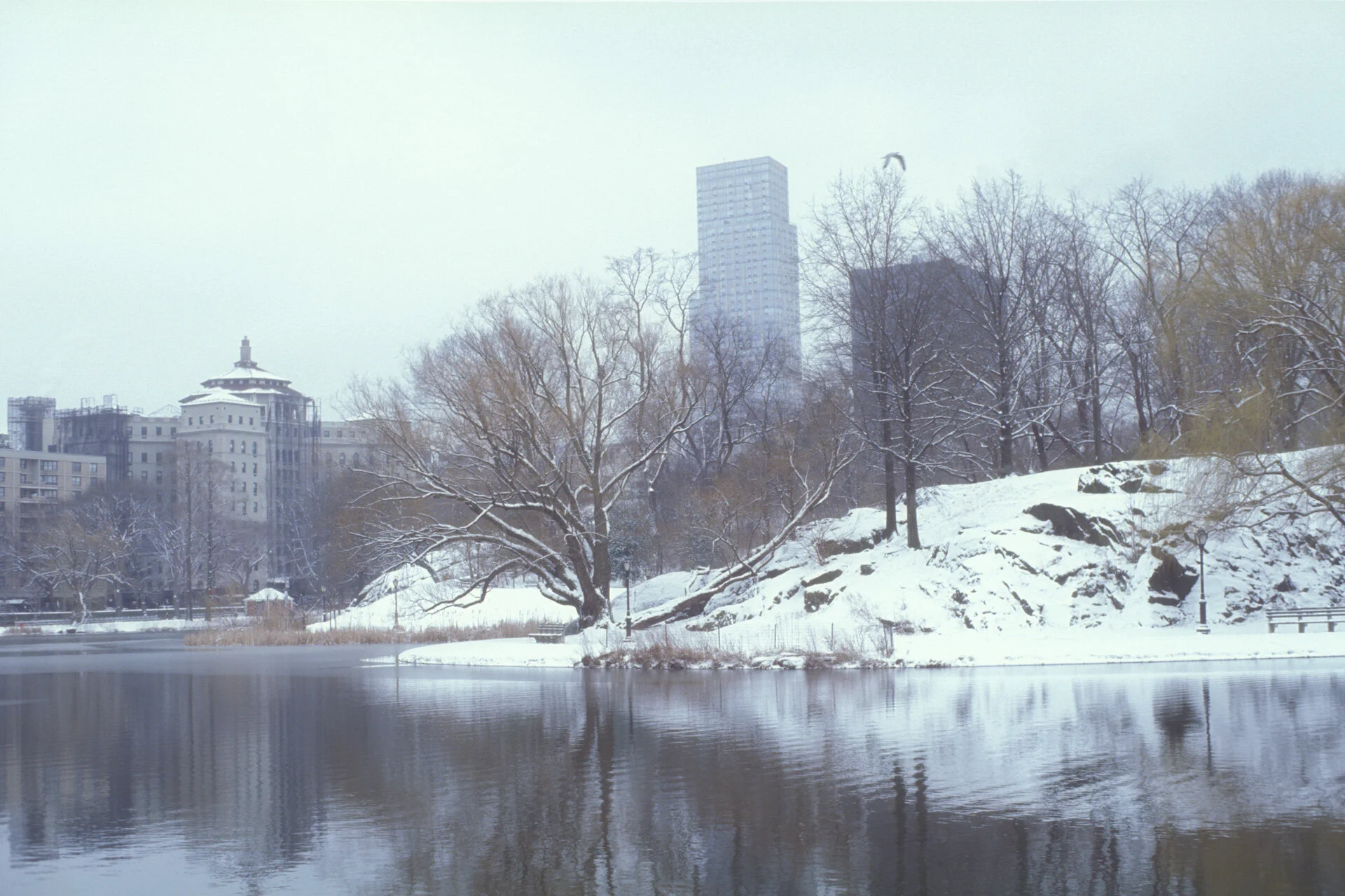 Coolscan4k-2019-1284.jpg