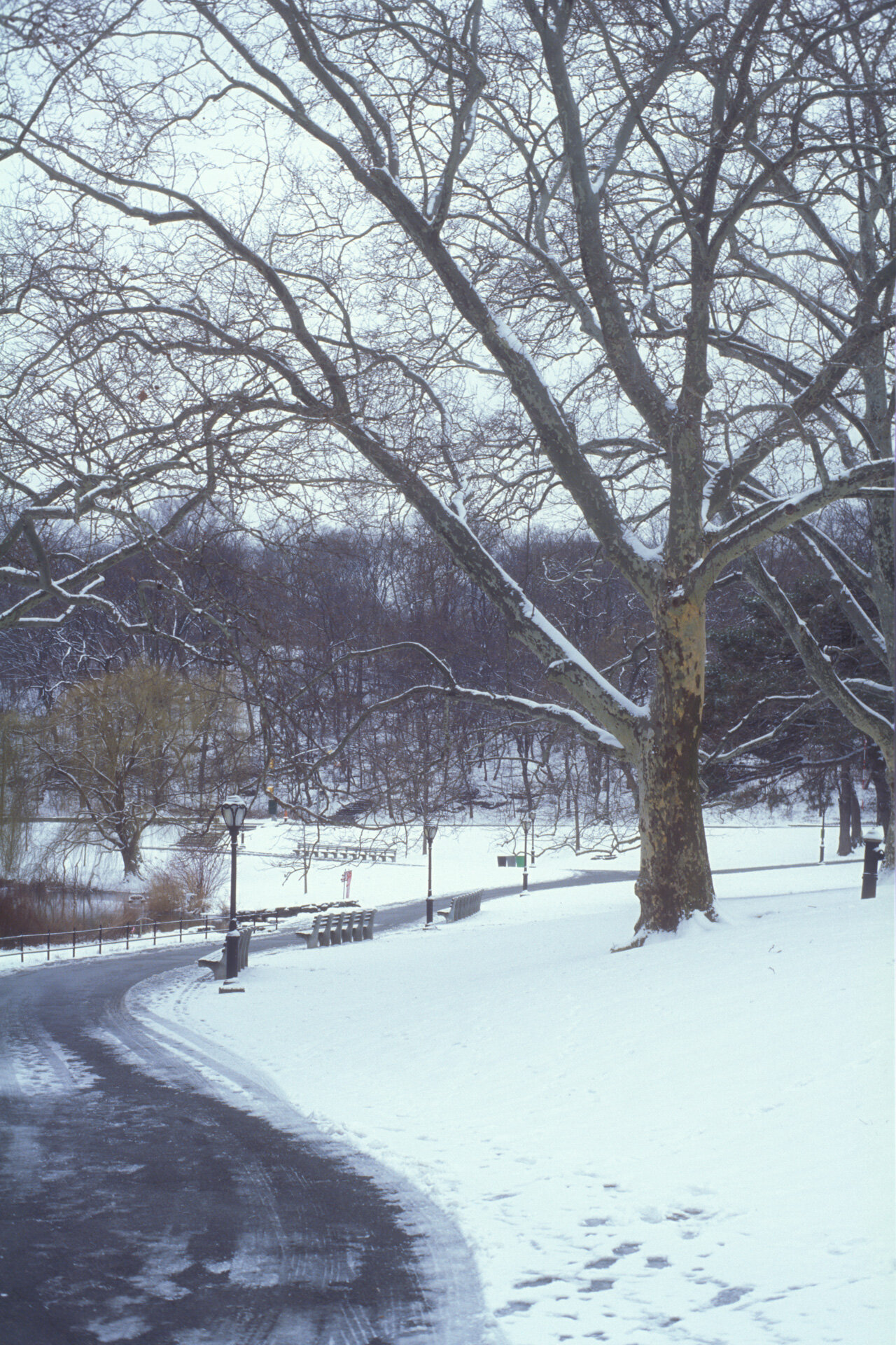 Coolscan4k-2019-1286.jpg