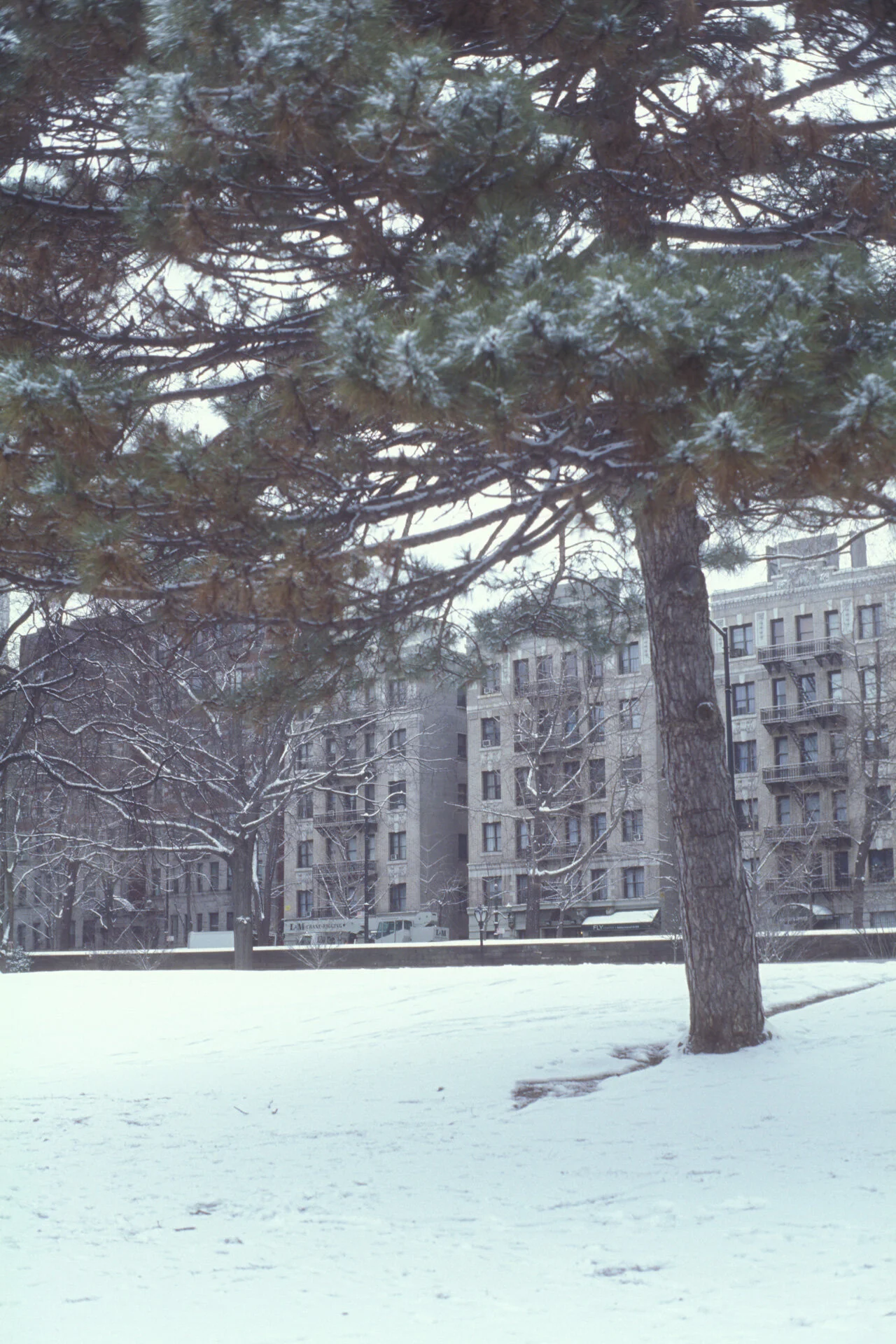 Coolscan4k-2019-1289.jpg