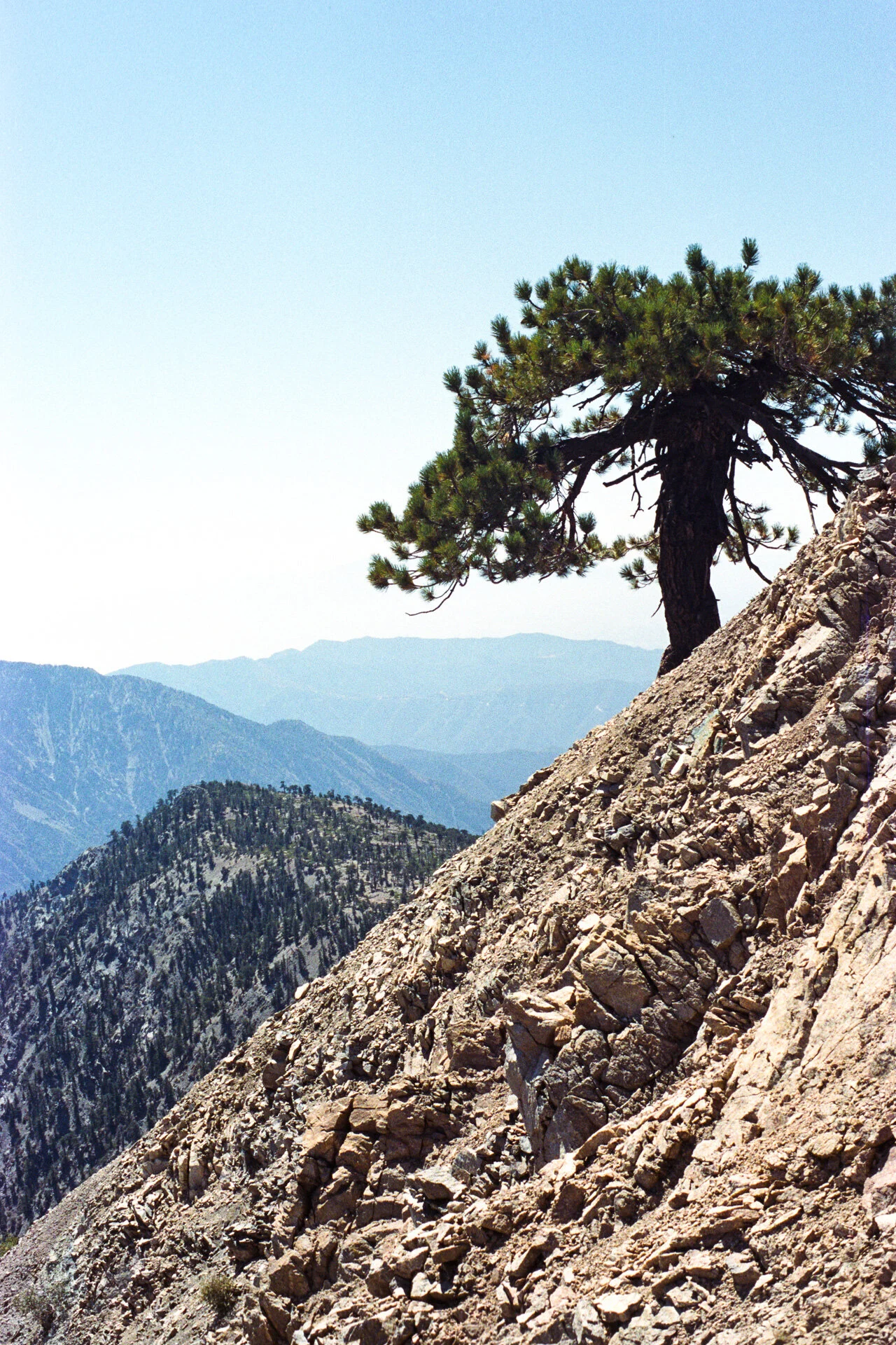 Coolscan4k-2019-1619.jpg