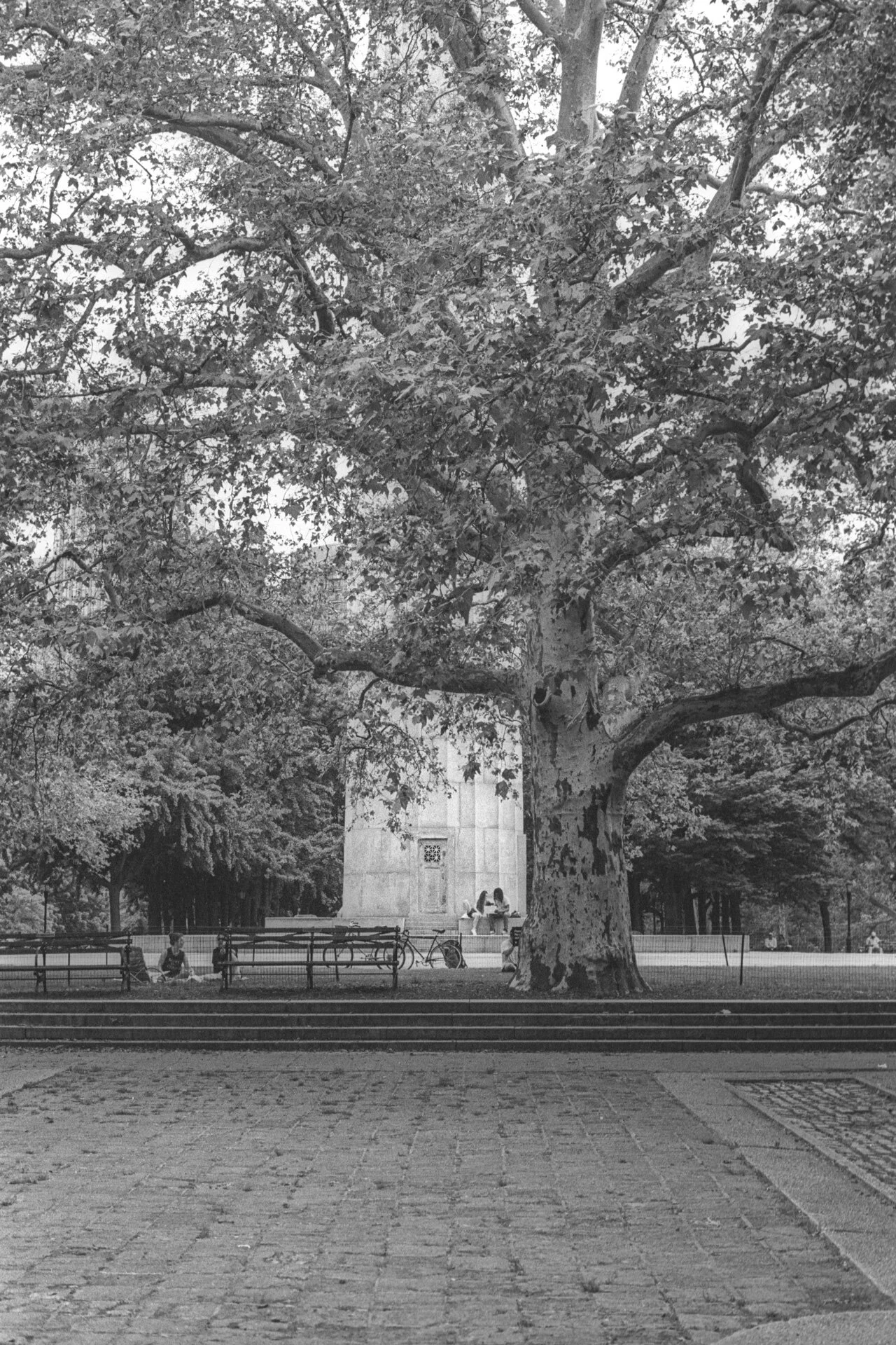 Coolscan4k-2019-1516.jpg