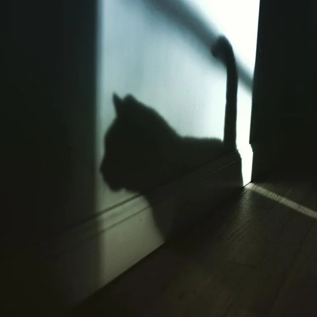 Te extra&ntilde;&eacute; mucho Don Ricardo Mordel&oacute;n!