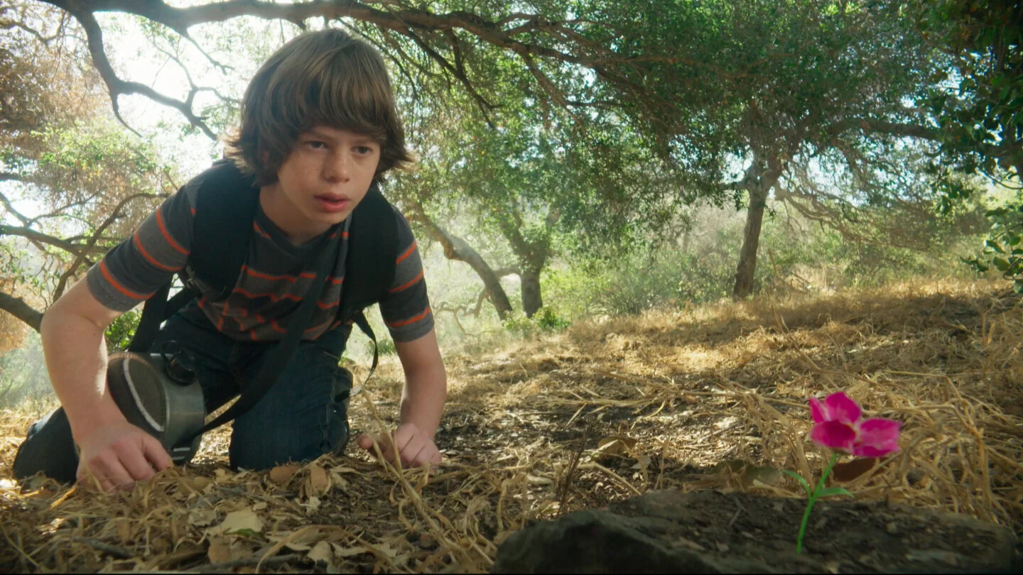 Screen%25252BShot%25252B2019-02-05%25252Bat%25252B17.33.35.jpg