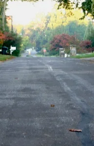 Roseland Drive, 2011
