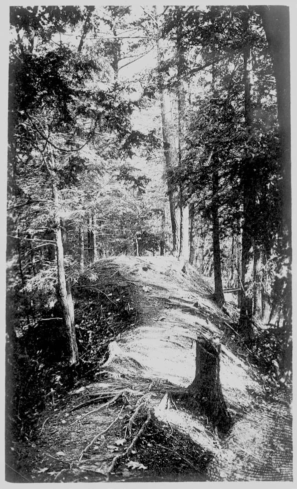 Old Indian Trail, Conesus Lake, NY (1918) (National Anthropological Archives, Smithsonian Museum)