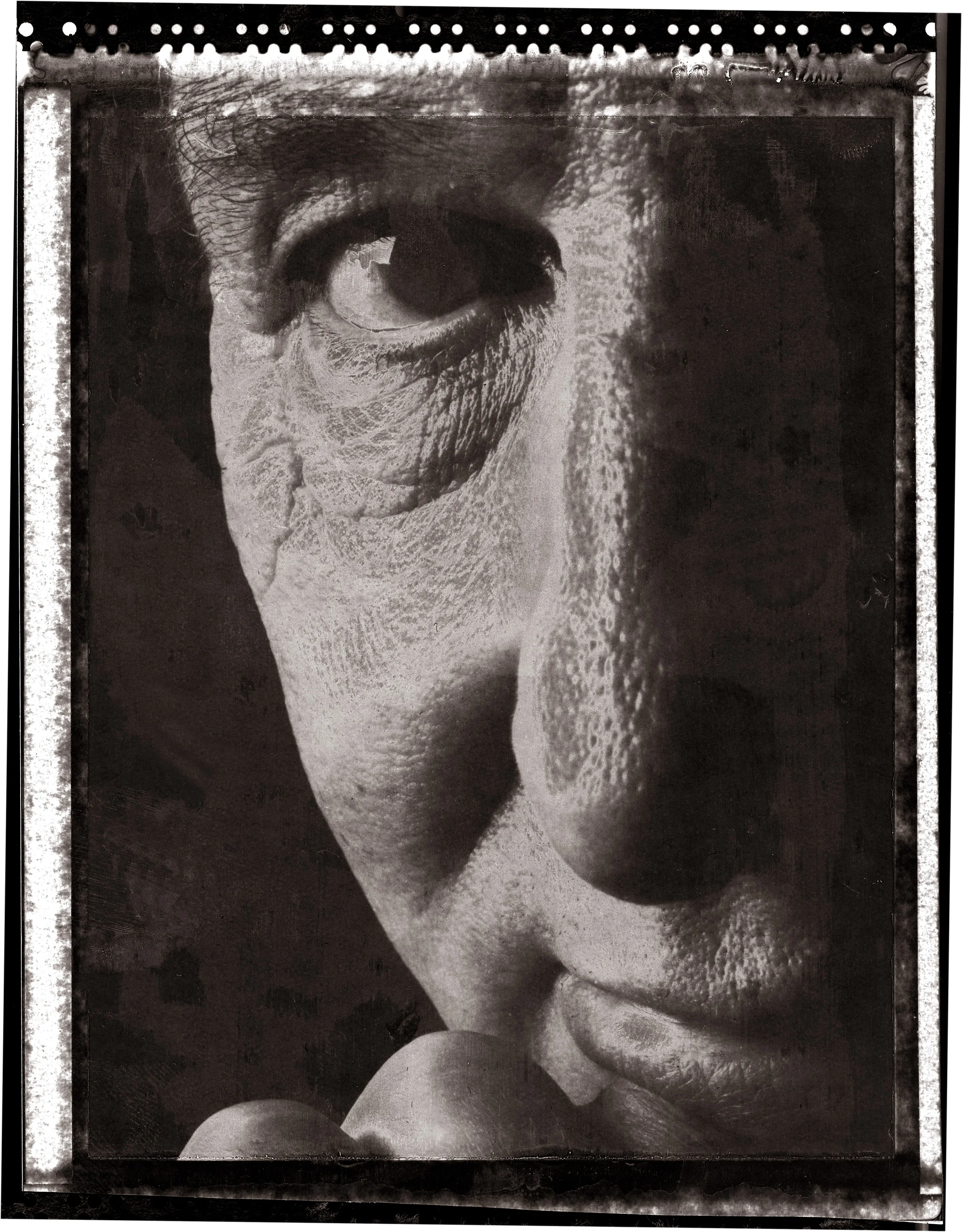 Paul Schell