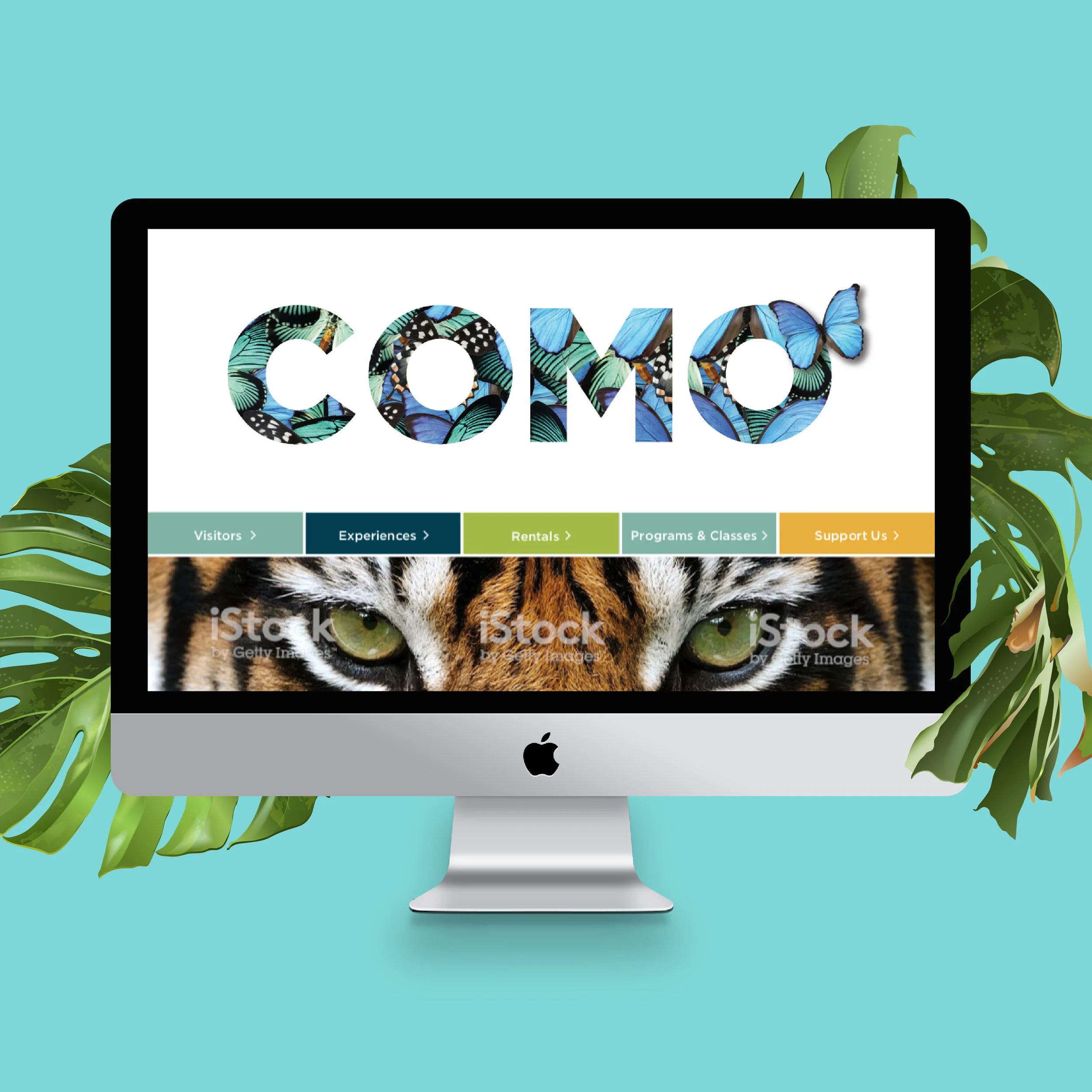 como-thumb-17.jpg