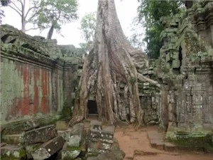 Cambodia1.jpg