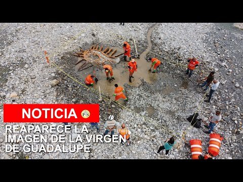26 de Julho de 2020: Reaparece a Imagem de Nossa Senhora de Guadalupe