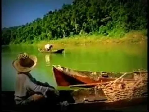 O encontro da imagem de Nossa Senhora Aparecida