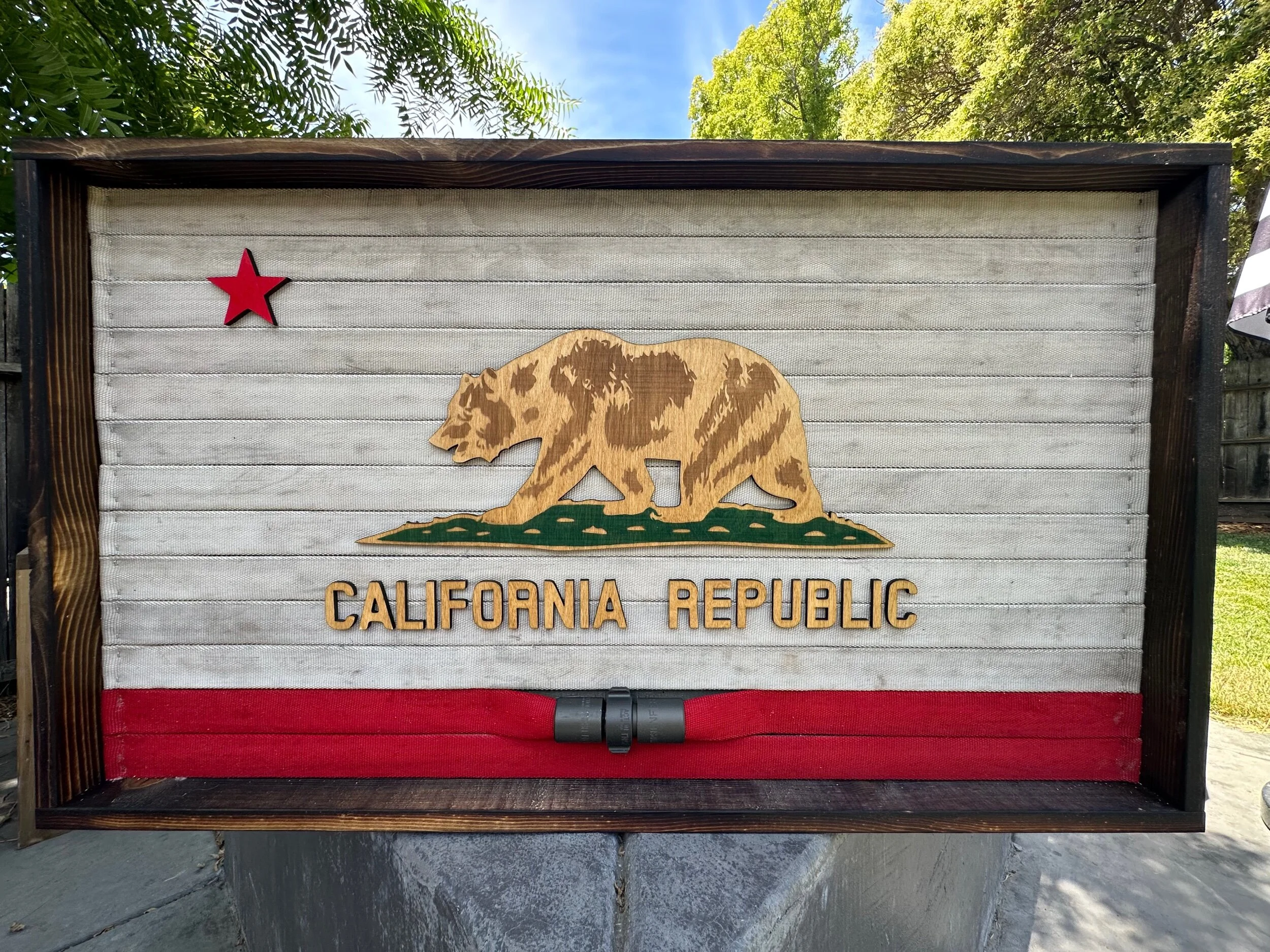 10137233-31B8-4896-BAC7-C4D1338FE6EE