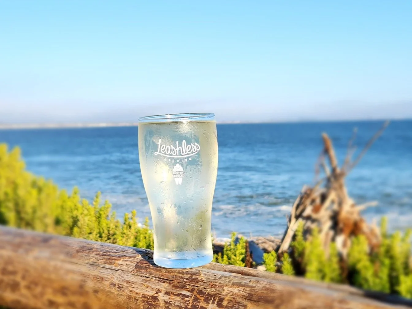 Lemon Ginger Spritzer Mocktail (GF) (NA)