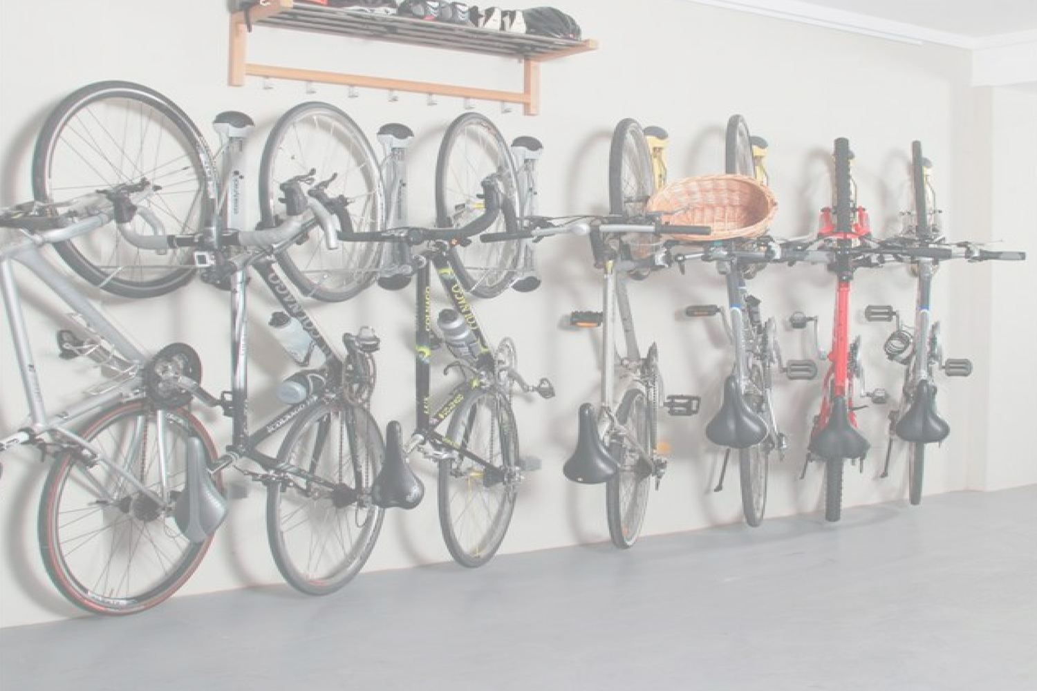 bikes.jpg