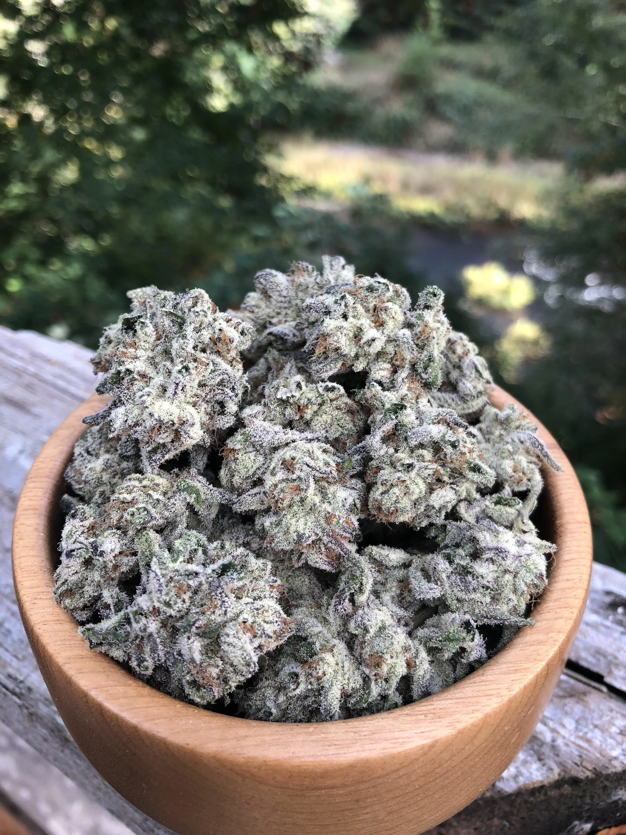 Dankside flower.jpg