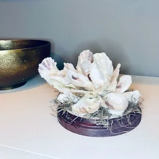 Oyster Shell Home Accent