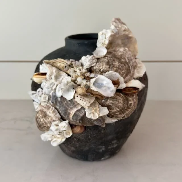Black Textured Terracotta Coastal Shell Vase