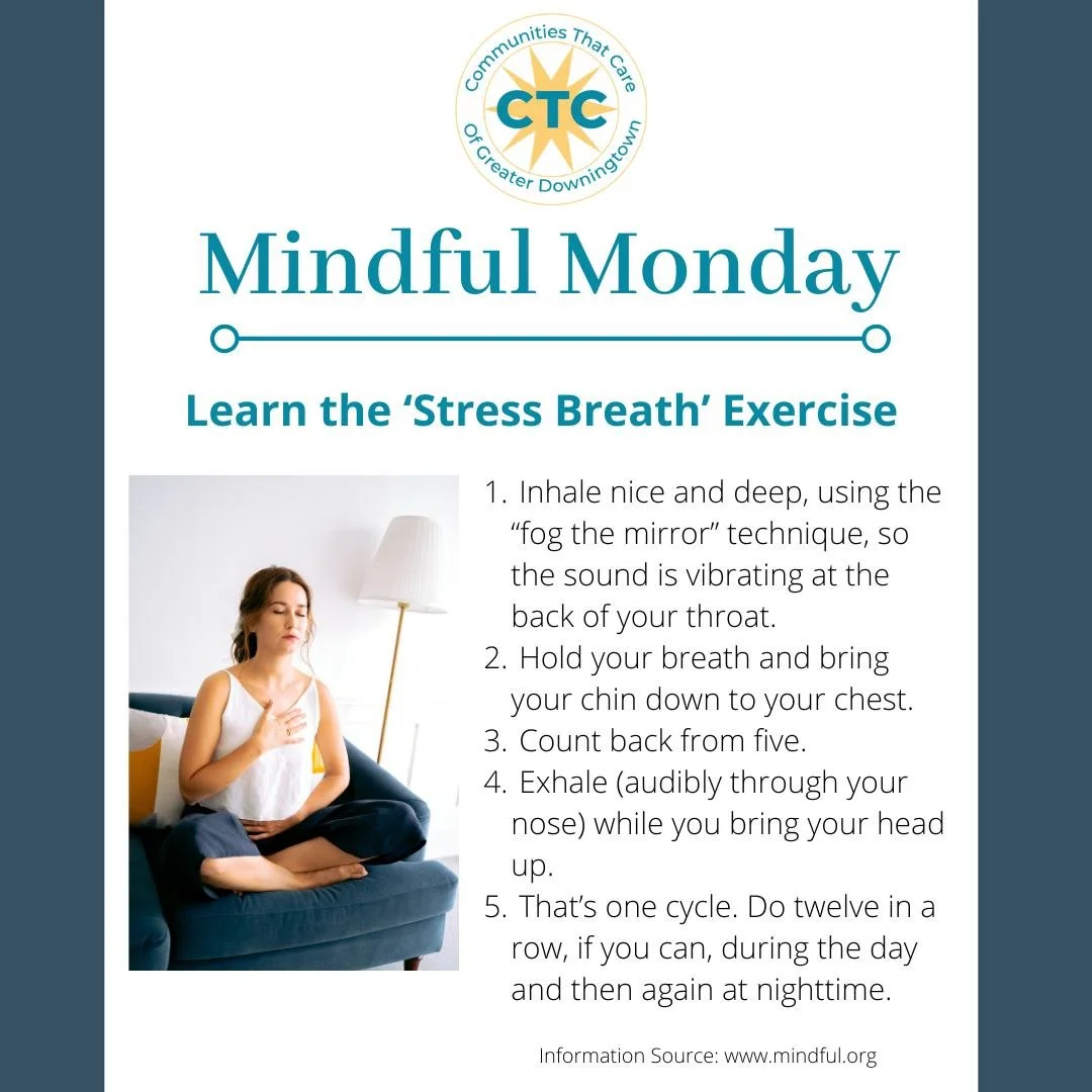 Evidence from hundreds of universities strongly suggests that mindfulness gently builds an inner strength, so that future stressors have less impact on our happiness and physical well-being. Try the 'Stress Breath' exercise to stay calm, cool, &amp; 