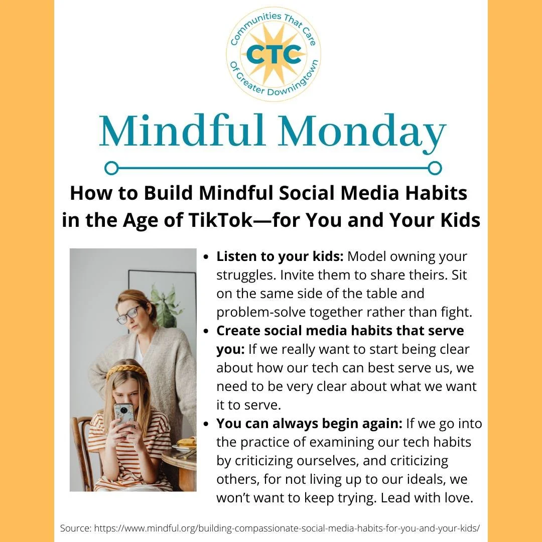 Many people make a New Year's resolution to create healthier social media habits and limit their phone use. @mindfulmagazine shares tools in this fantastic article, which give parents ways to approach social media with mindfulness and boundaries. 

R