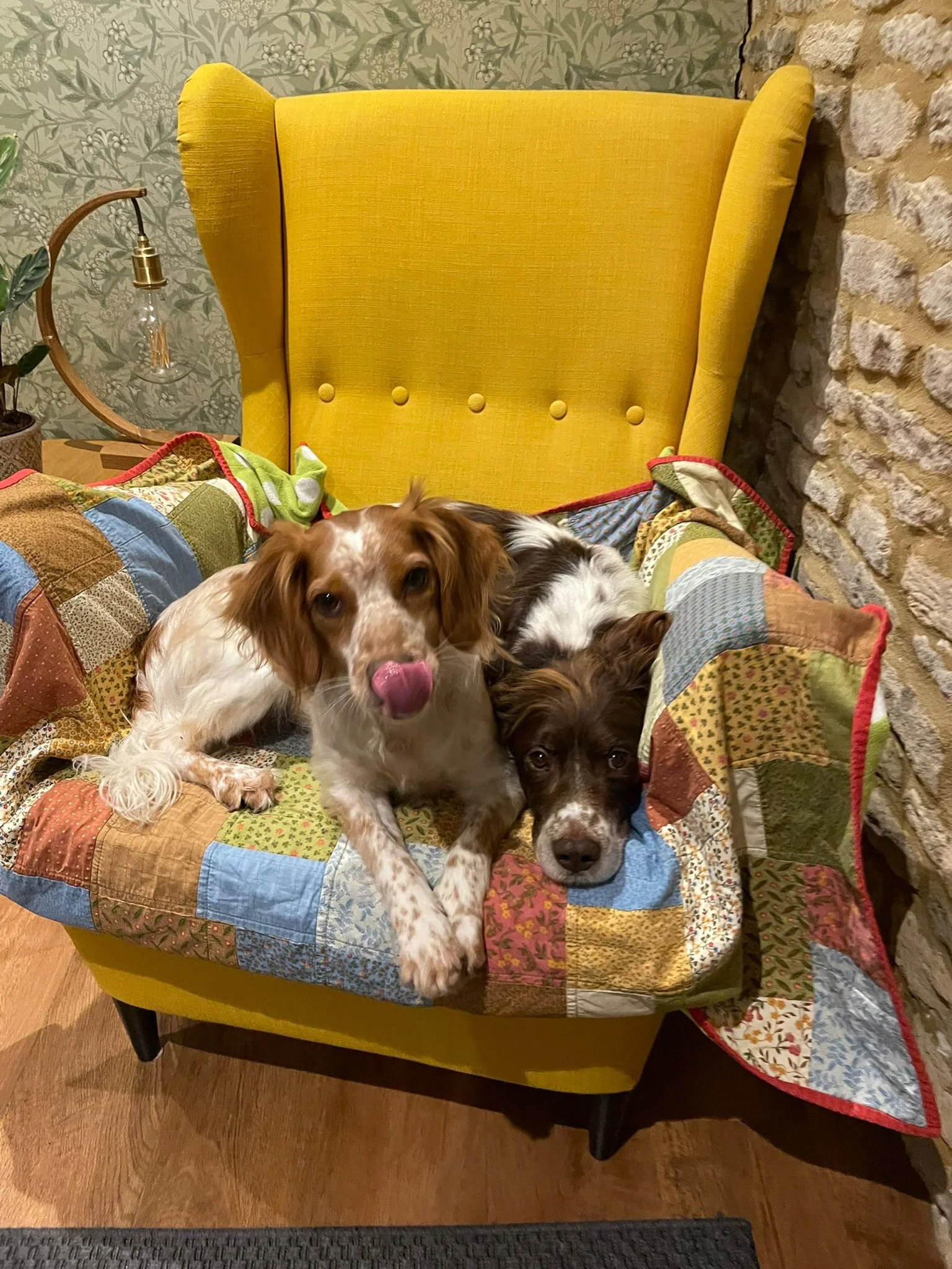 Pinto 1586 Fosterer 2.jpg