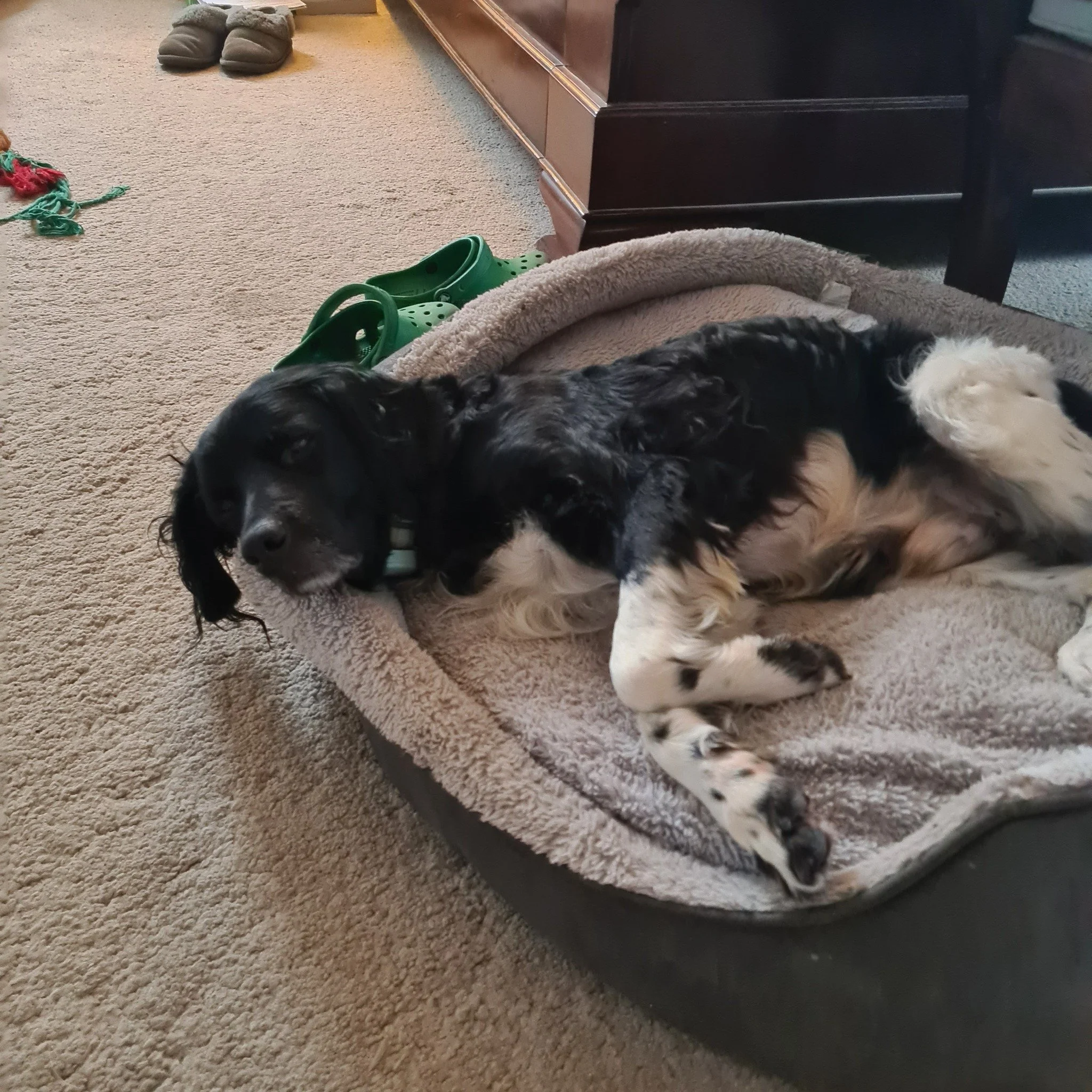 Marley 1579 Fosterer 4.jpg