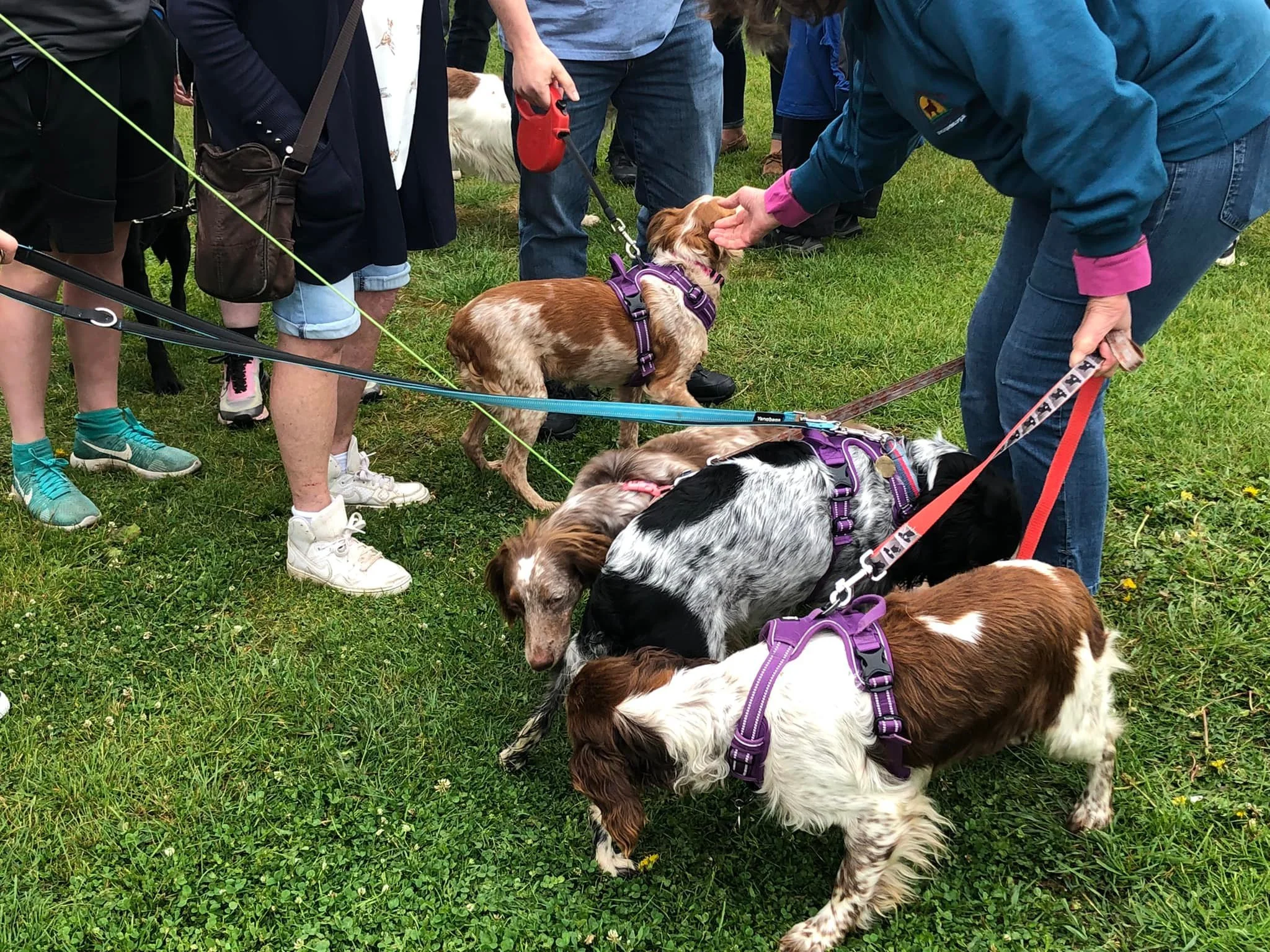 Picnic Weekend God.jpg