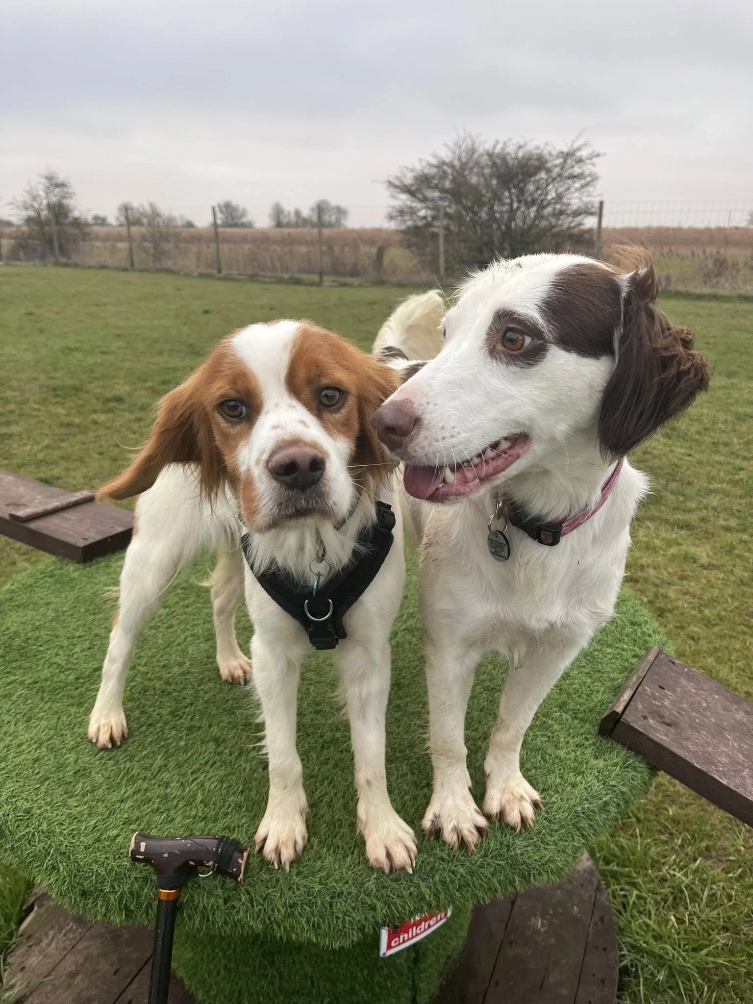 Baxter 1612 Fosterer 2.jpg