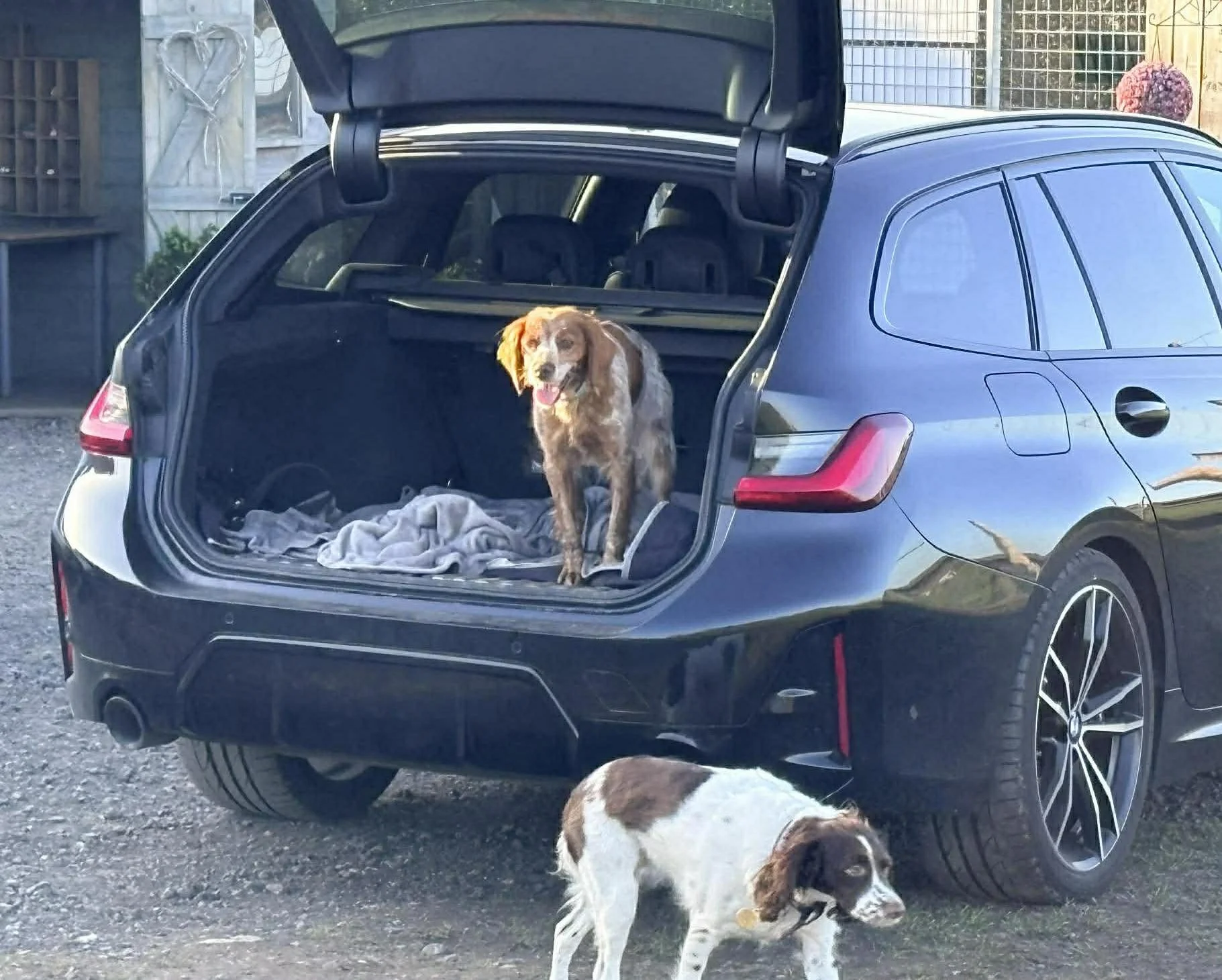 Bracken 1627 Fosterer 1.jpg