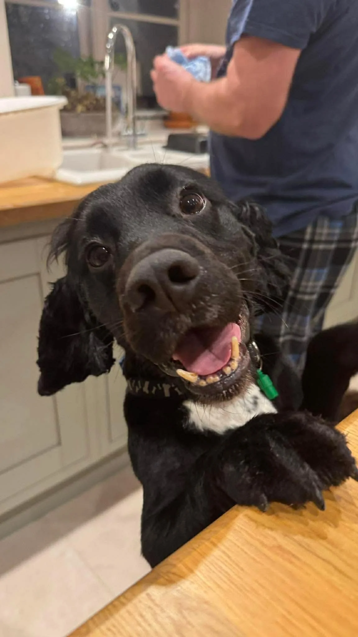 Milo 1623 Fosterer 1.jpg