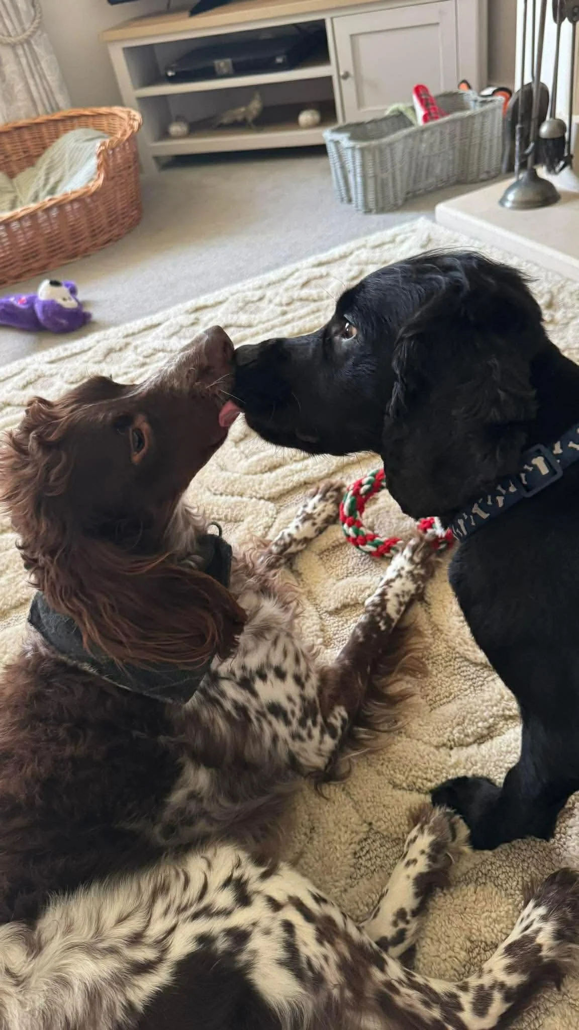 Milo 1623 Fosterer 2.jpg