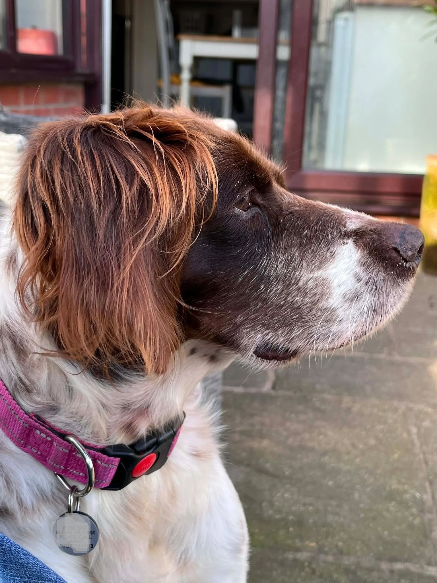 Reina 1615 Fosterer 2.jpg