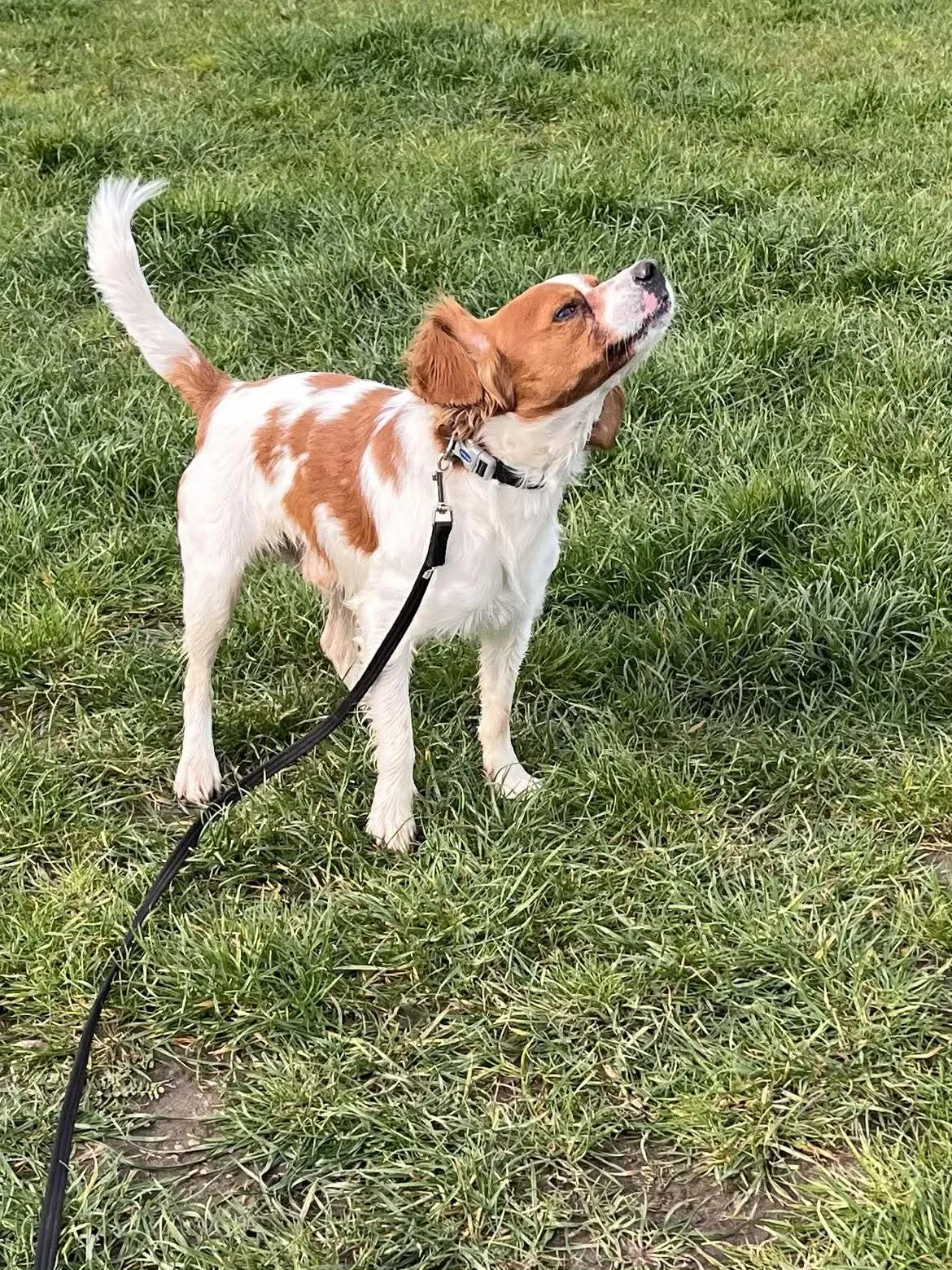 Filbert Louis Fosterer 1.jpg